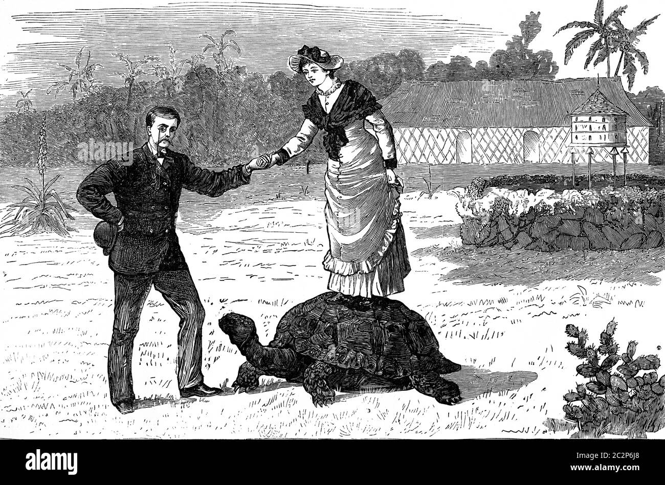 Une tortue monster, vintage engraved illustration. Journal des voyages, Journal de voyage, (1879-1880). Banque D'Images