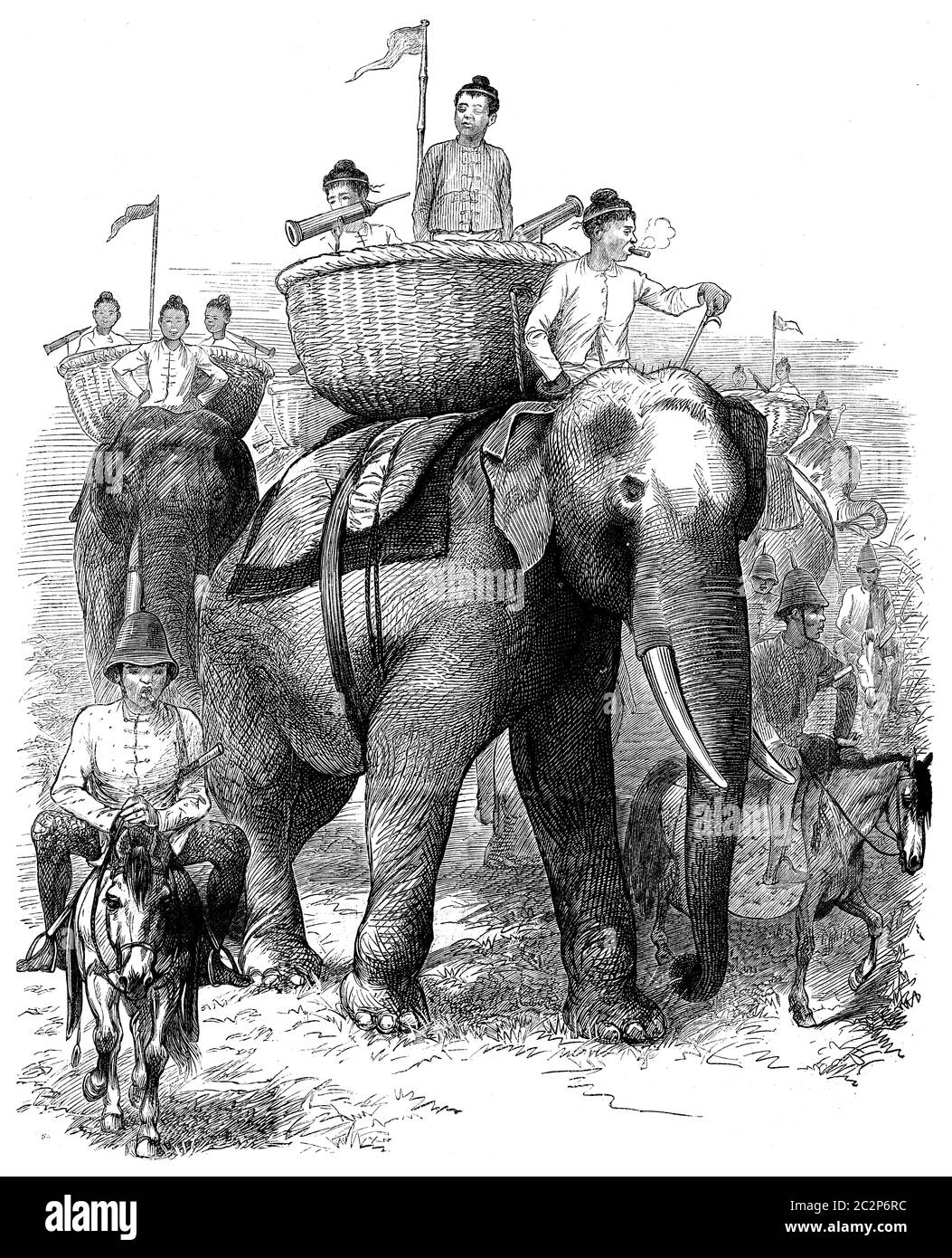 Éléphants Burmah. Ces animaux avancent majestueusement, vintage gravé illustration. Journal des voyages, Journal de voyage, (1879-80). Banque D'Images