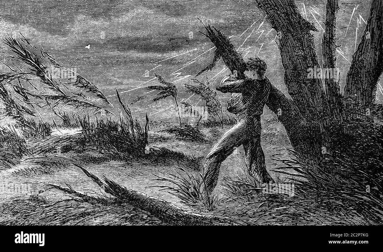 Une terrible tempête. J'accrocher à la branche d'un arbre, vintage engraved illustration. Journal des voyages, Journal de voyage, (1880-1881). Banque D'Images