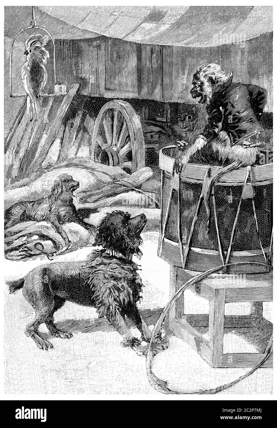 Wagram, Marengo, John Bull et Jako, illustration gravée d'époque. Jules Verne Cesar Cascabel, 1890. Banque D'Images