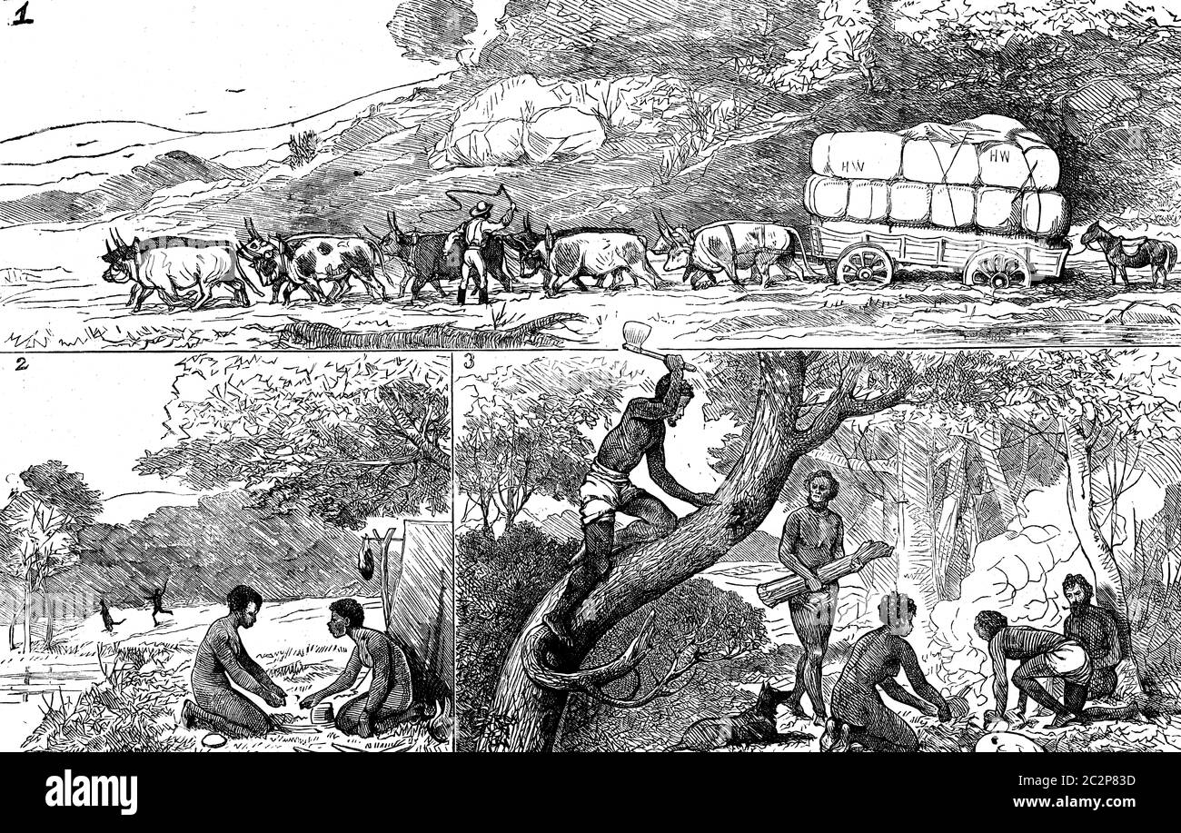 Fig 1.le chariot coincé, Fig 2 le camp, Fig 3 Honeycomb, illustration gravée vintage. Journal des voyages, Journal de voyage, (1879-80). Banque D'Images