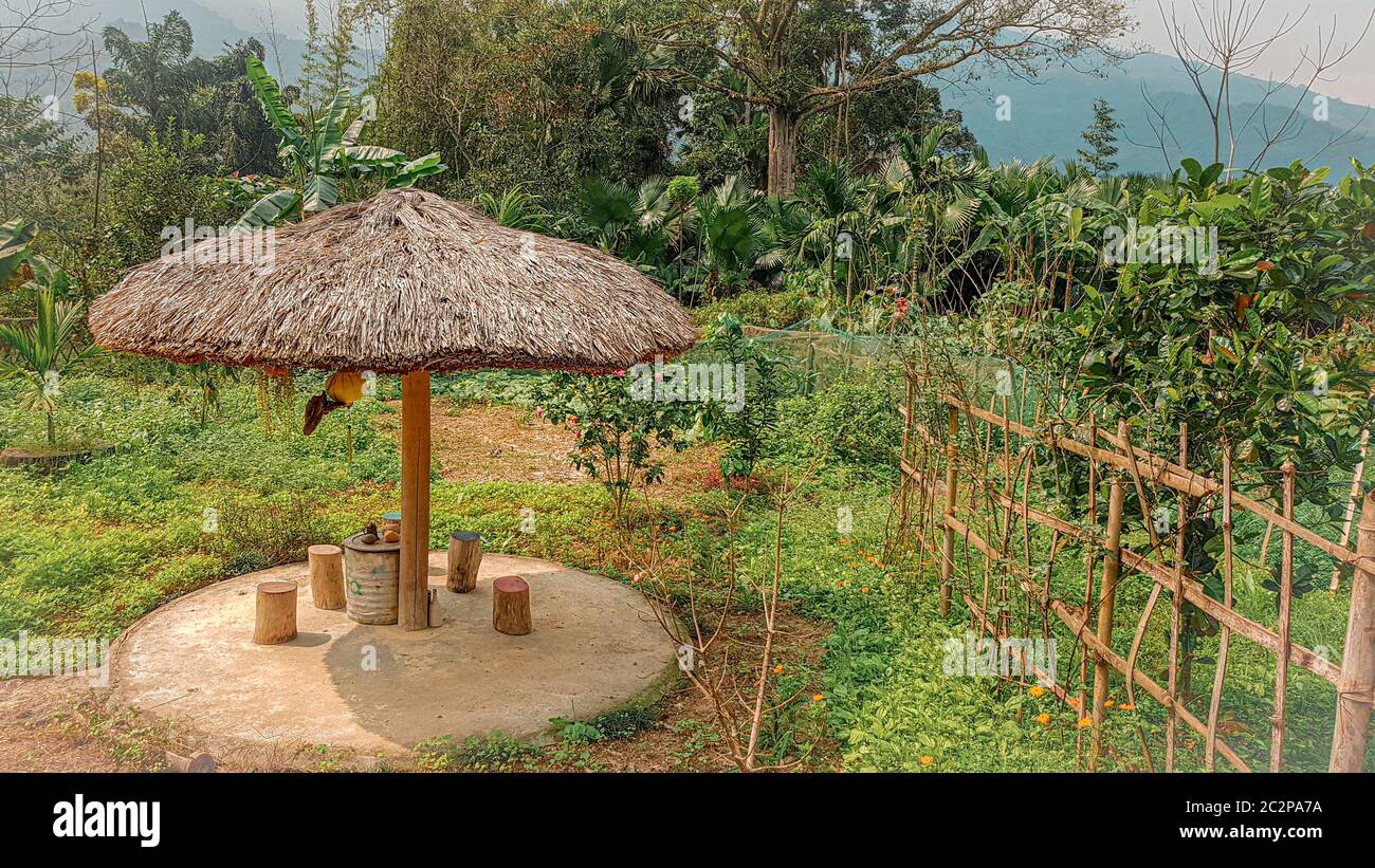 Vue tranquille sur un jardin potager et fruitier à Ha giang Vietnam qui montre la vie quotidienne et la culture dans la campagne Banque D'Images