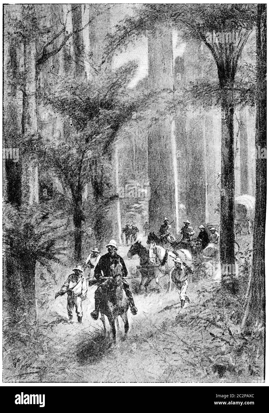 Les buggies et les wagons étaient pratiquement à l'aise, illustration gravée d'époque. Jules Verne Mistress Branican, 1891. Banque D'Images Les buggies et les wagons étaient pratiquement à l'aise, illustration gravée d'époque. Jules Verne Mistress Branican, 1891. Banque D'Images