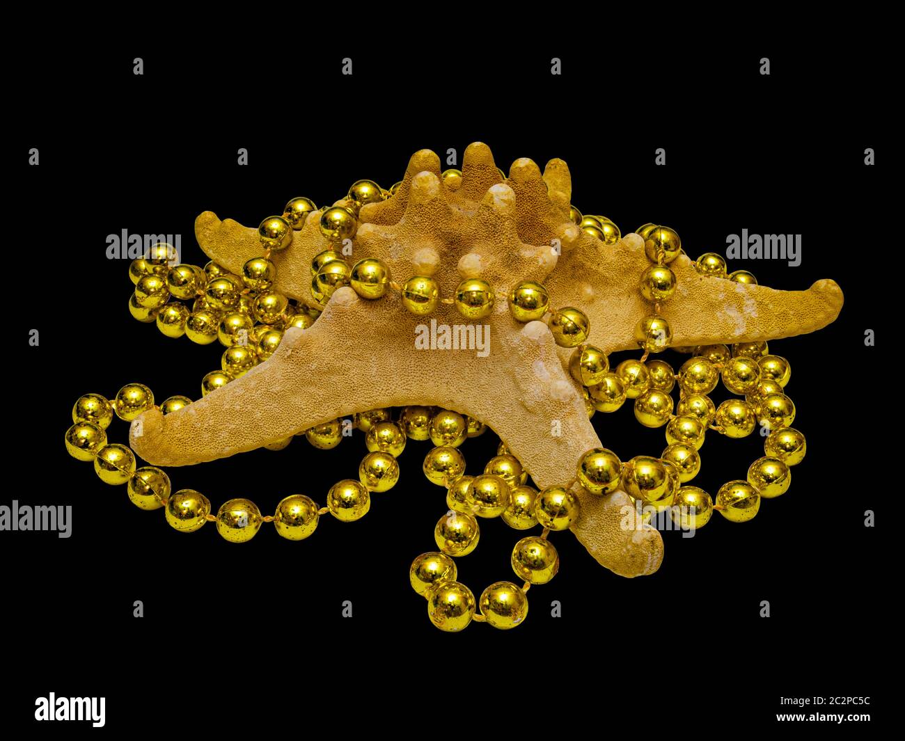 Starfish enmêlé dans des perles dorées décoratives, Macro Shot, isolé sur fond noir Banque D'Images