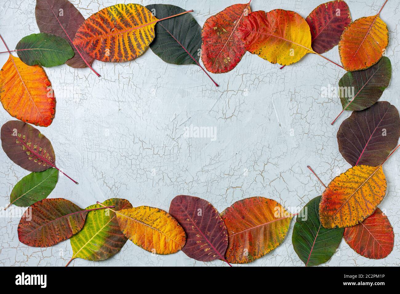 Cadre composé de feuilles d'automne colorées. Banque D'Images