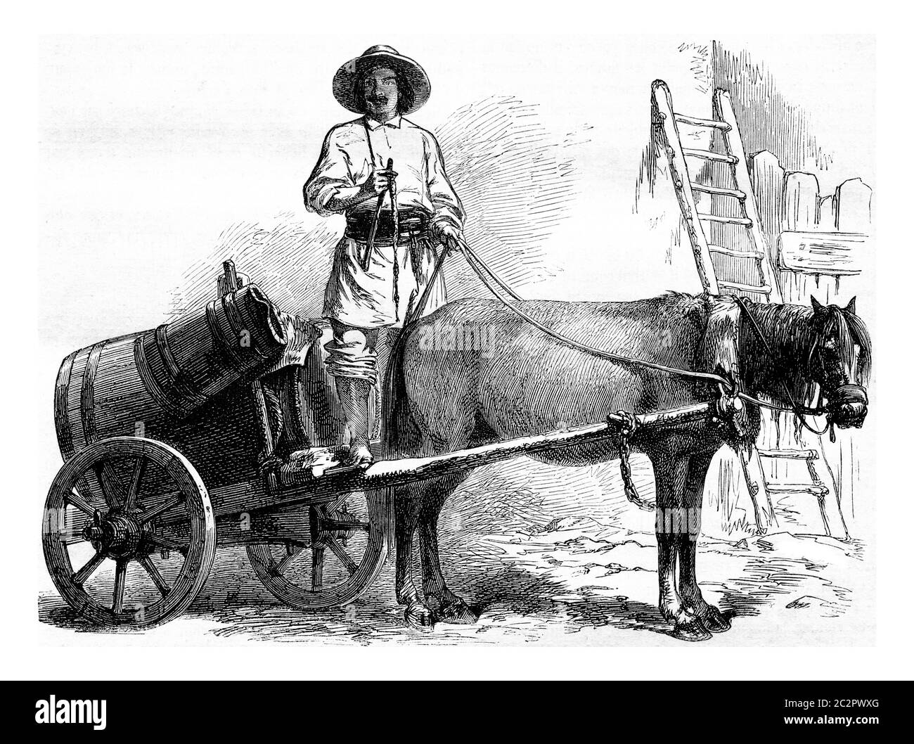 transporteur de chevaux banque d images noir et blanc alamy coloriage clown