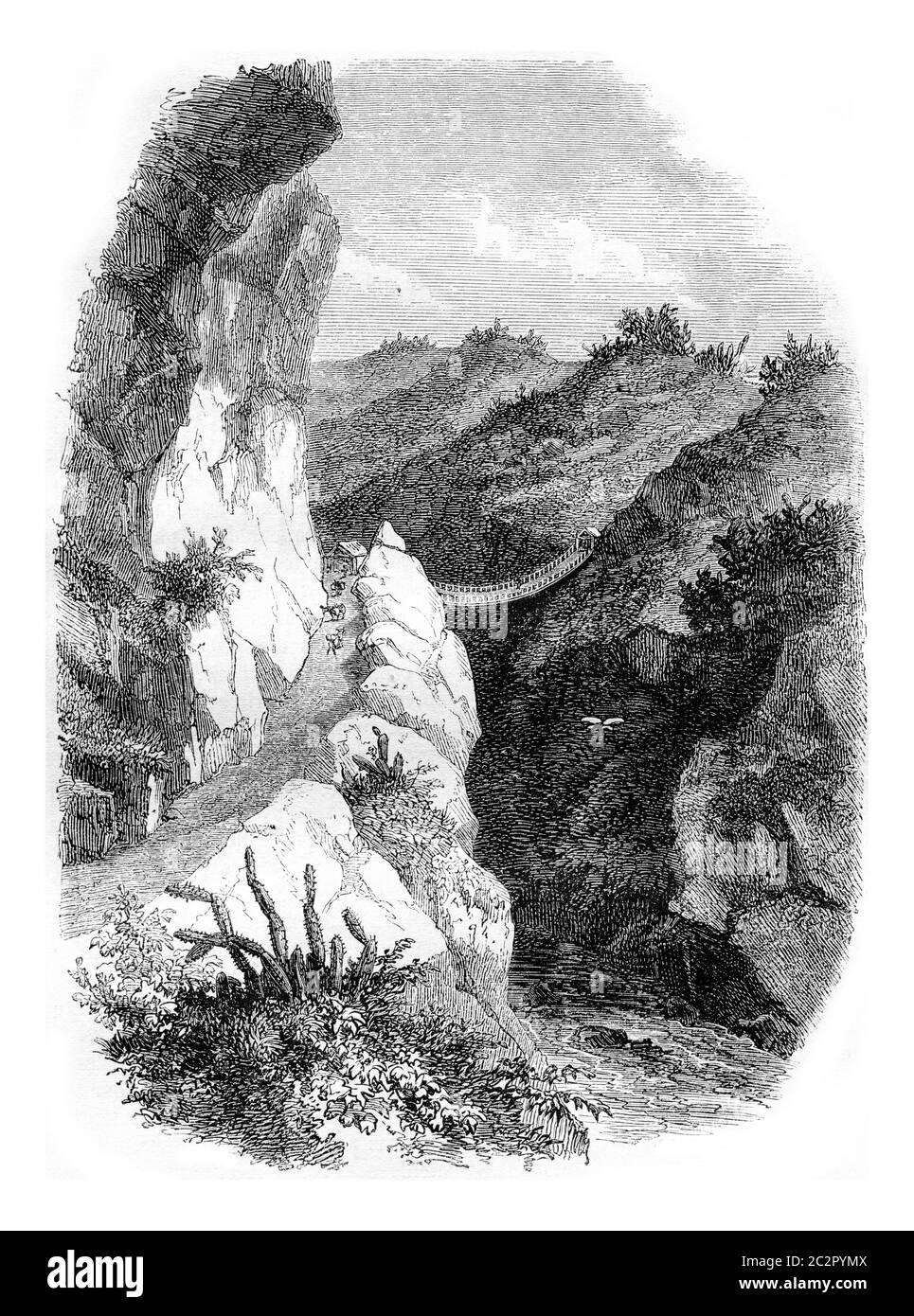 Amérique du Sud, illustration gravée d'époque. Magasin Pittoresque 1857. Banque D'Images