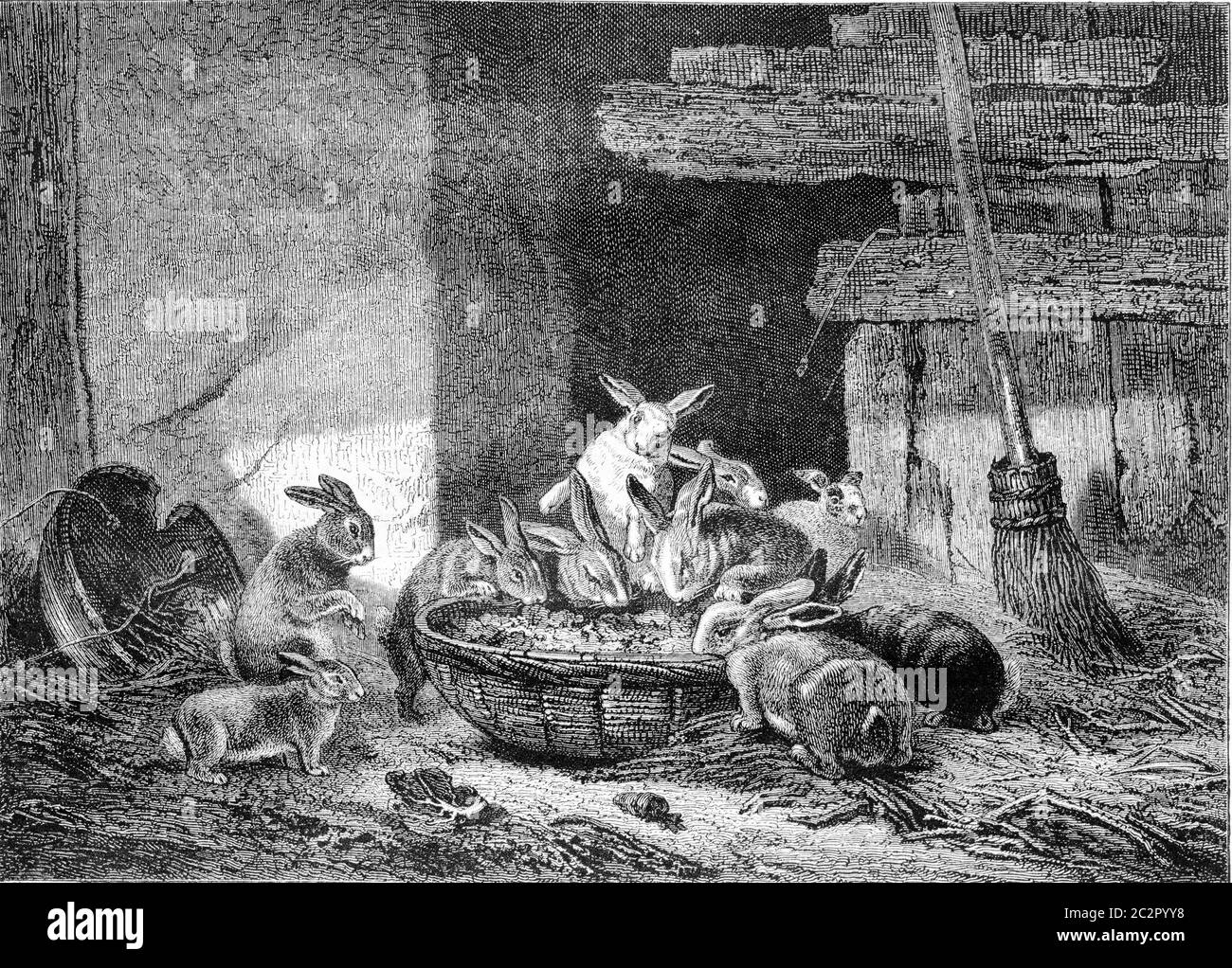 Exposition de peinture de 1857. Lapins de déjeuner, illustration gravée vintage. Magasin Pittoresque 1857. Banque D'Images