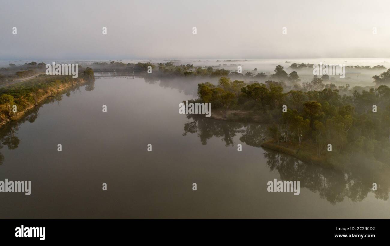 Brouillard matinal sur la Murray River près de Mildura, Victoria, Australie. Banque D'Images