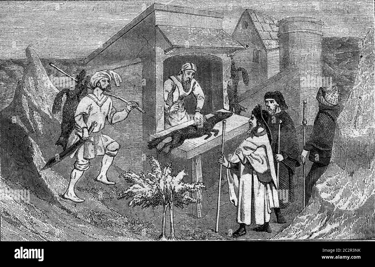 Boucher de renard, tartare, illustration gravée vintage. Magasin Pittoresque 1867. Banque D'Images