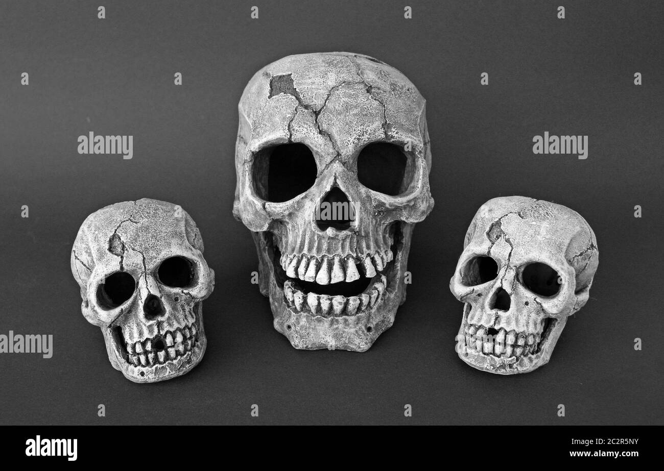 3 crânes devant un arrière-plan noir Banque D'Images