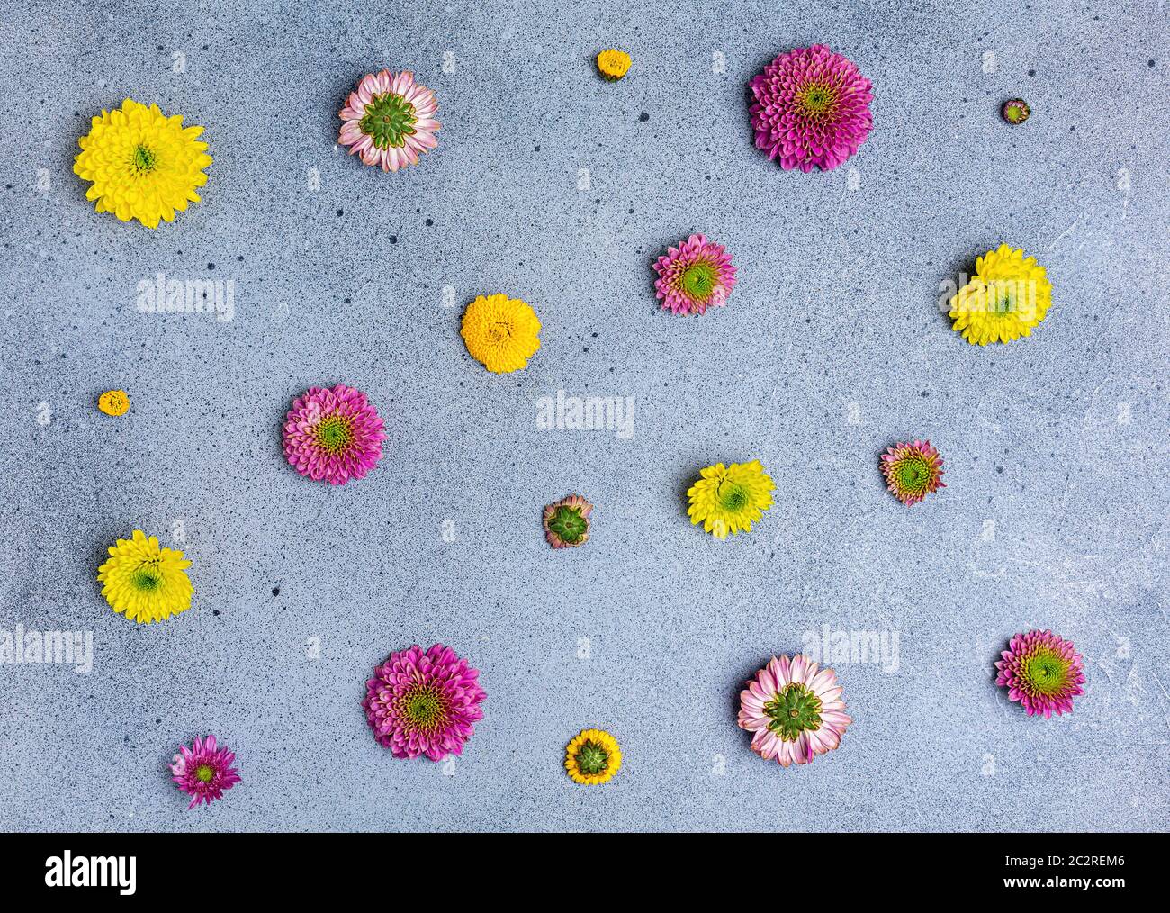 Composition de fleurs créatives d'automne. Banque D'Images