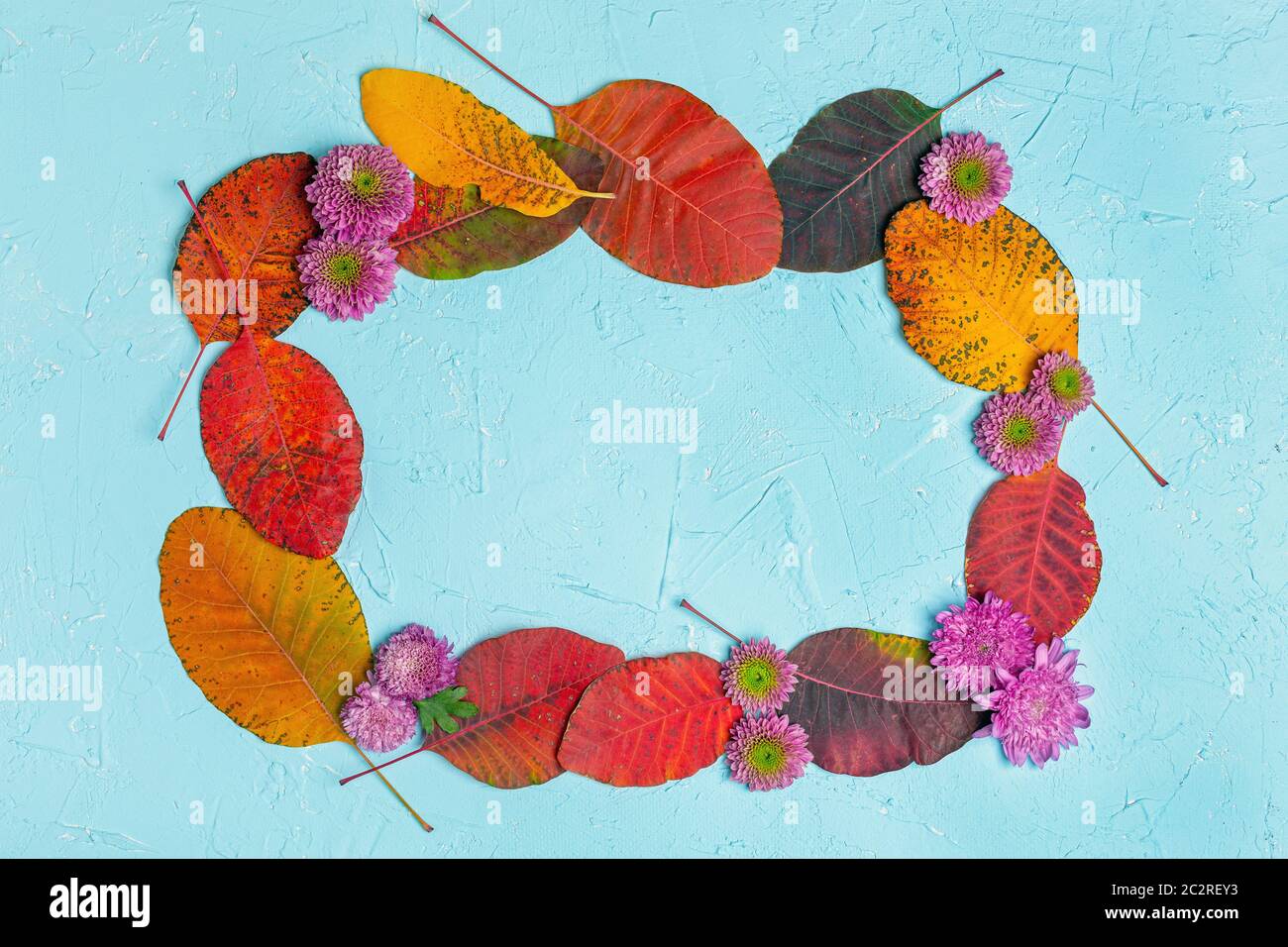 Cadre de feuilles et de fleurs d'automne. Banque D'Images