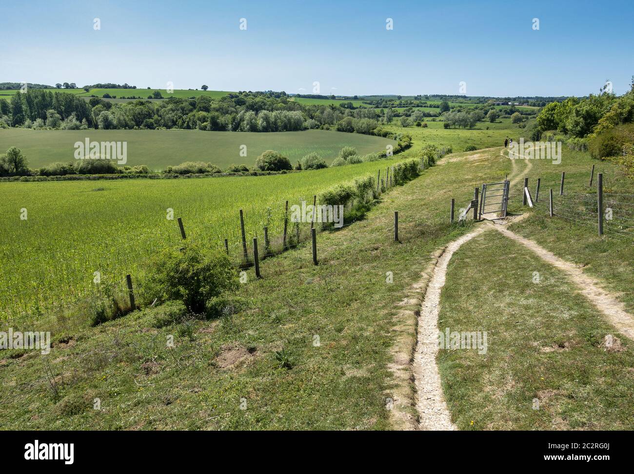 Le chemin de la voie d'essai près du village de Wherwell, Hampshire, Angleterre, Royaume-Uni Banque D'Images