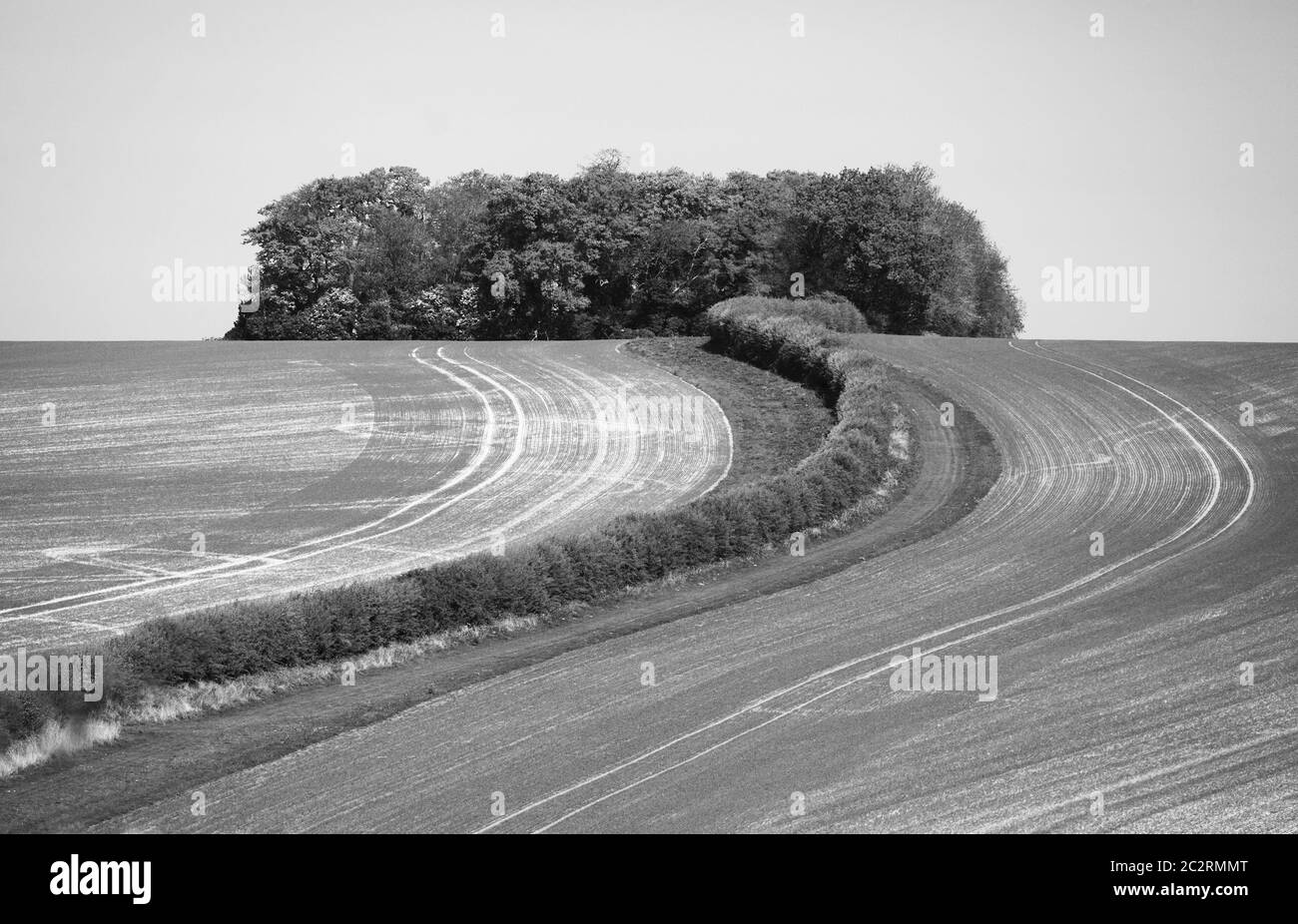 Les terres agricoles au-dessus de Fring dans Norfolk montrant le chemin de la voie longue distance du Peddar. Banque D'Images