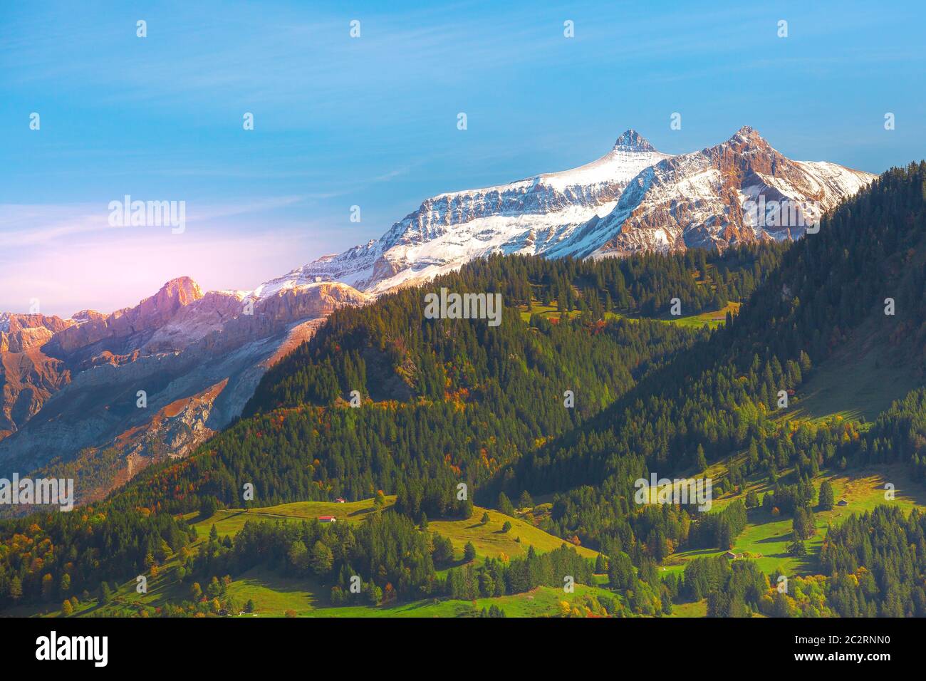 La Suisse, Jungfraujoch, Alpes Suisses paysage d'automne aux couleurs rose et blanc neige montagnes rocheuses, vert et jaune automne arbres au coucher du soleil Banque D'Images