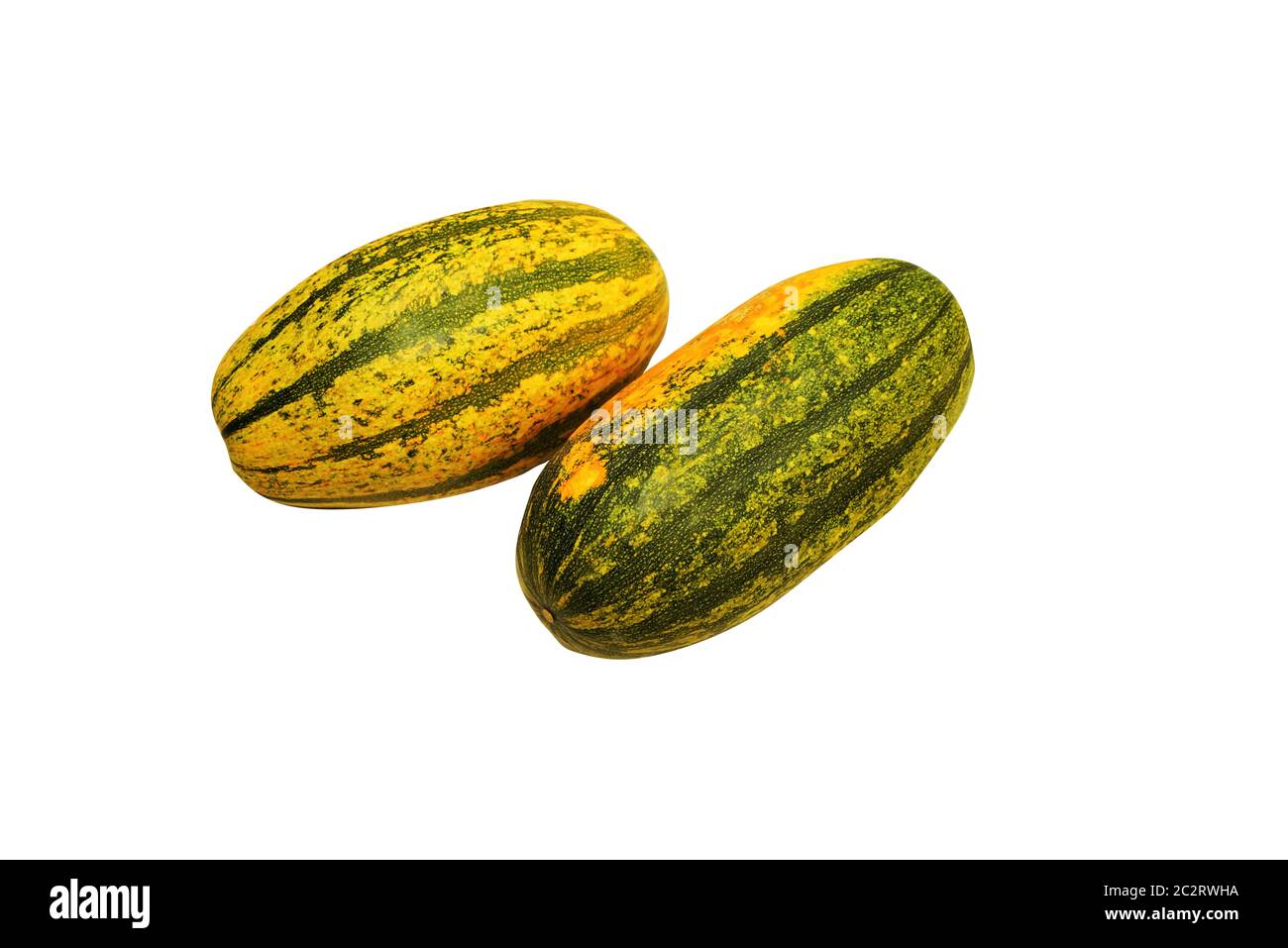 Deux grosses courges spaghetti isolées sur fond blanc Banque D'Images