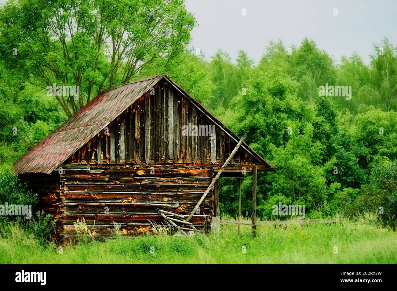 ancien hangar en bois entouré de graminées et de forêt Banque D'Images