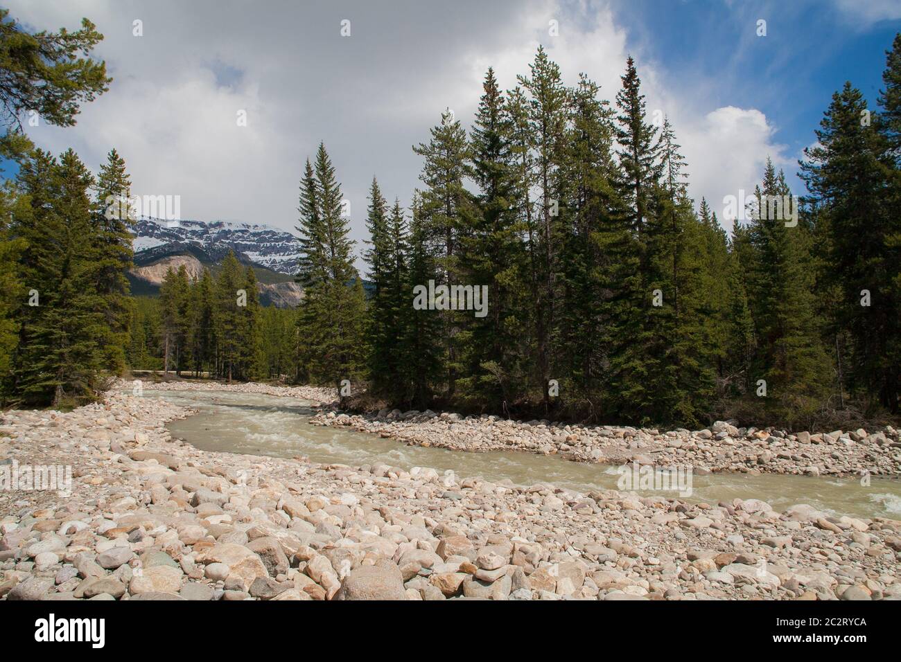 Une rivière canadienne dans la région des montagnes Rocheuses, parc national Banff, Alberta, Canada Banque D'Images