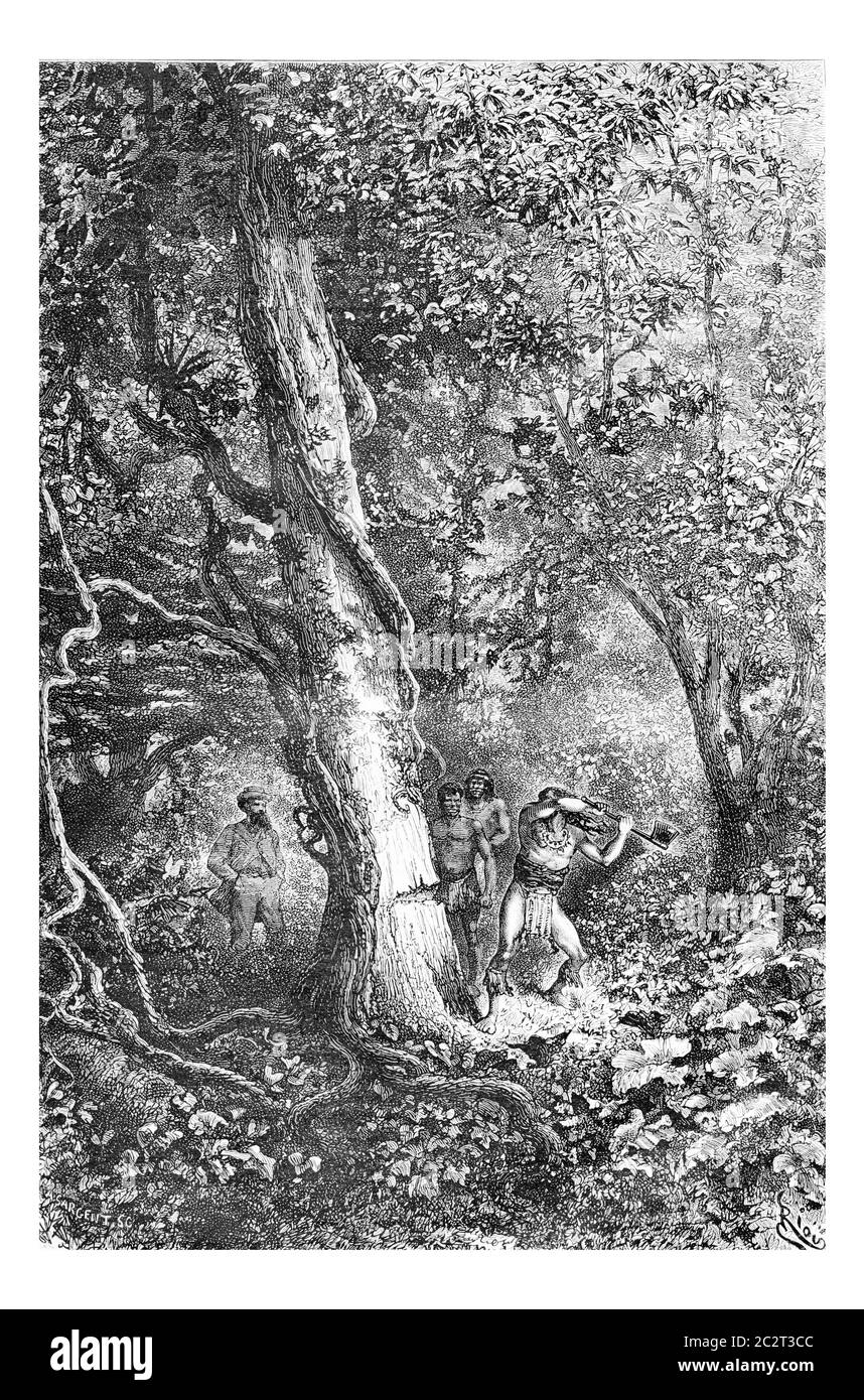 Hacher un arbre à l'aide d'une main Ax à Oiapoque, Brésil, dessin par Riou à partir d'une esquisse par Dr. Crevaux, illustration gravée d'époque. Le Tour du LUN Banque D'Images