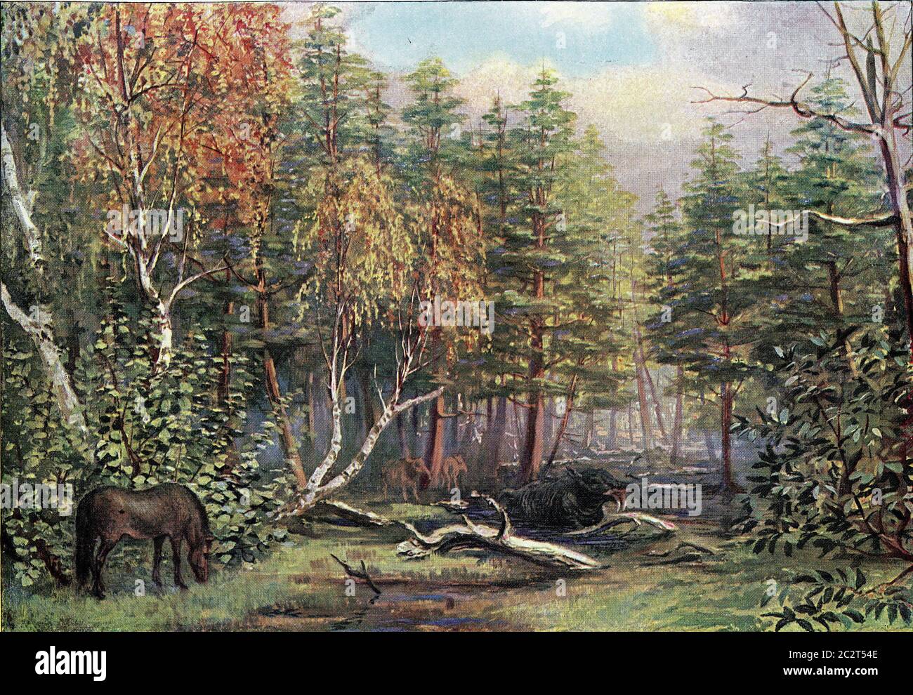 Paysage de l'ère tertiaire moyenne dans le nord de l'Allemagne, illustration gravée d'époque. De l'Univers et de l'humanité, 1910. Banque D'Images