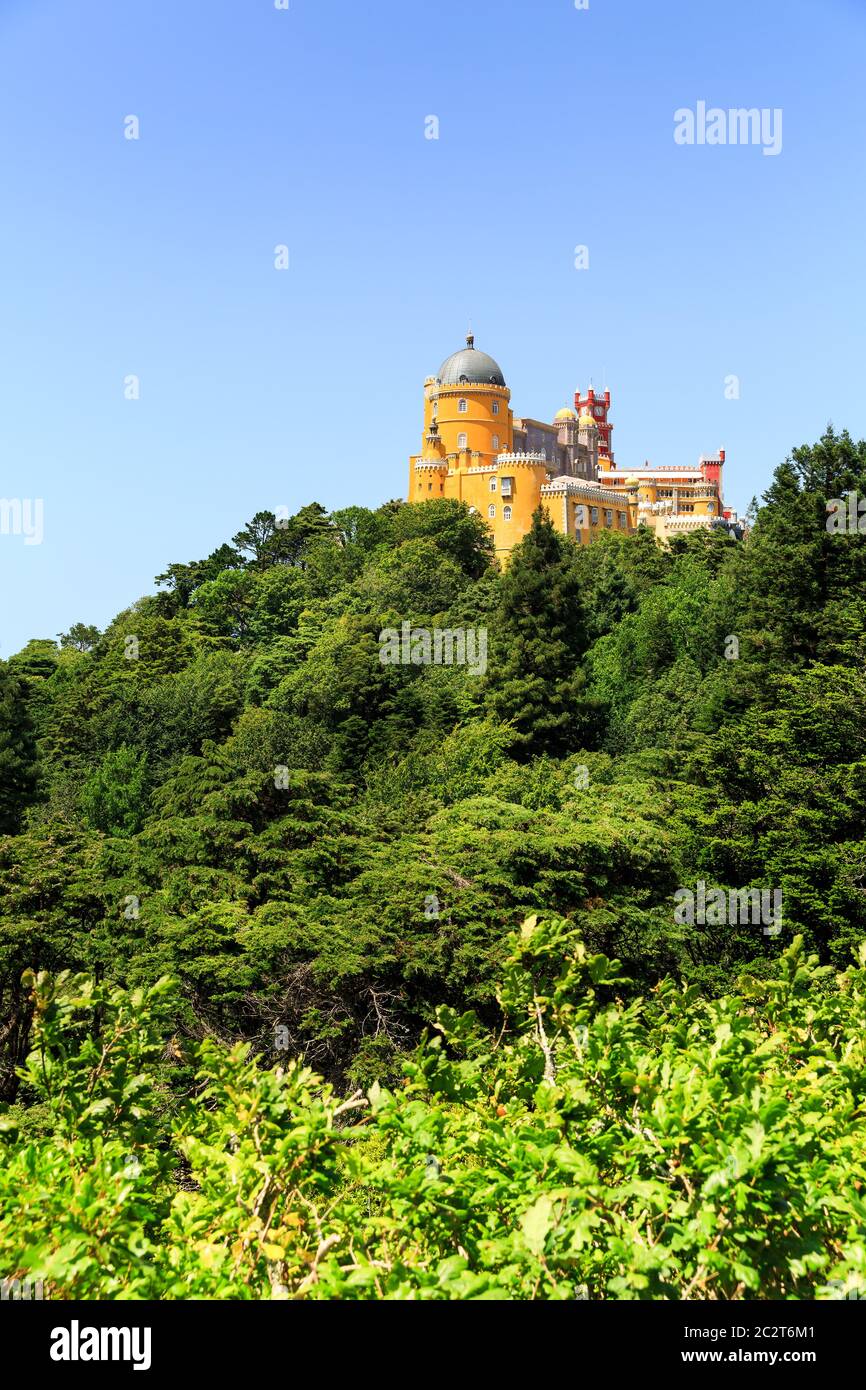 Château moderne debout sur la colline verte Banque D'Images