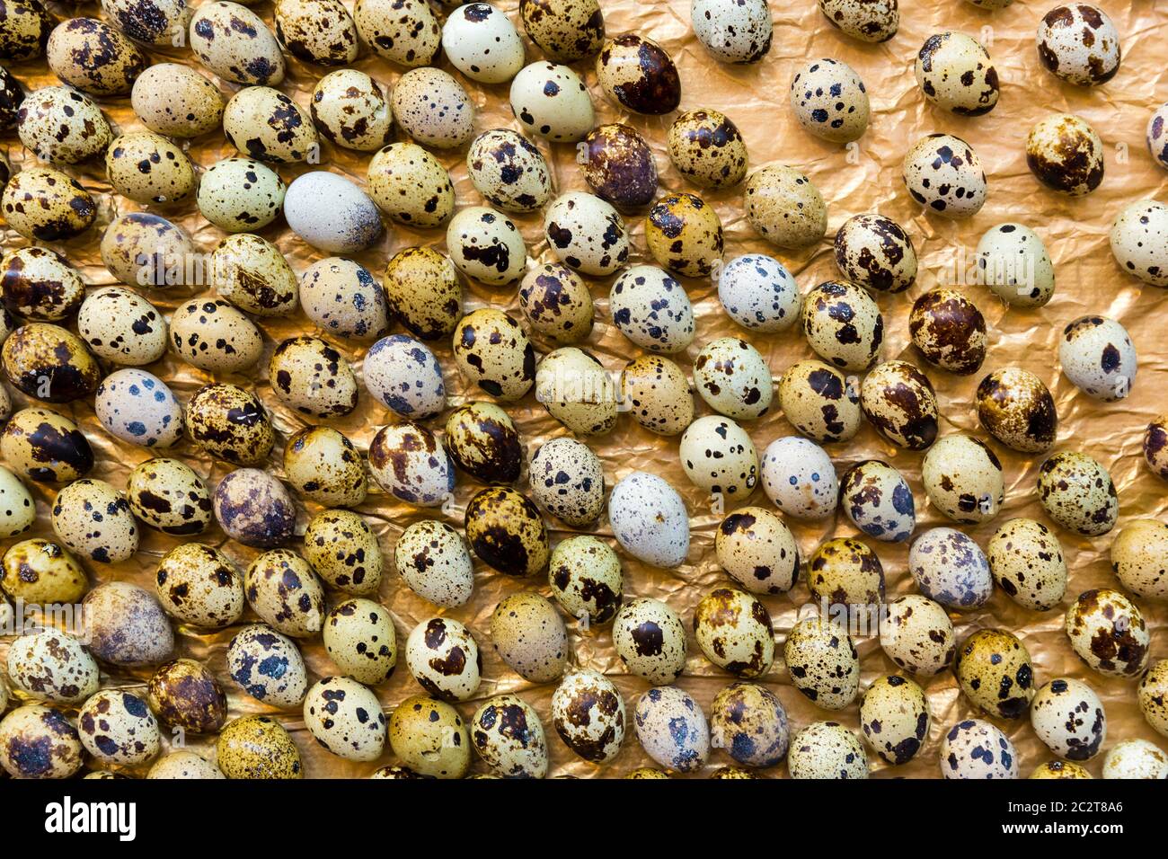 Décoration œufs de caille, vue de dessus. Nourriture biologique naturelle, symbole des vacances Banque D'Images