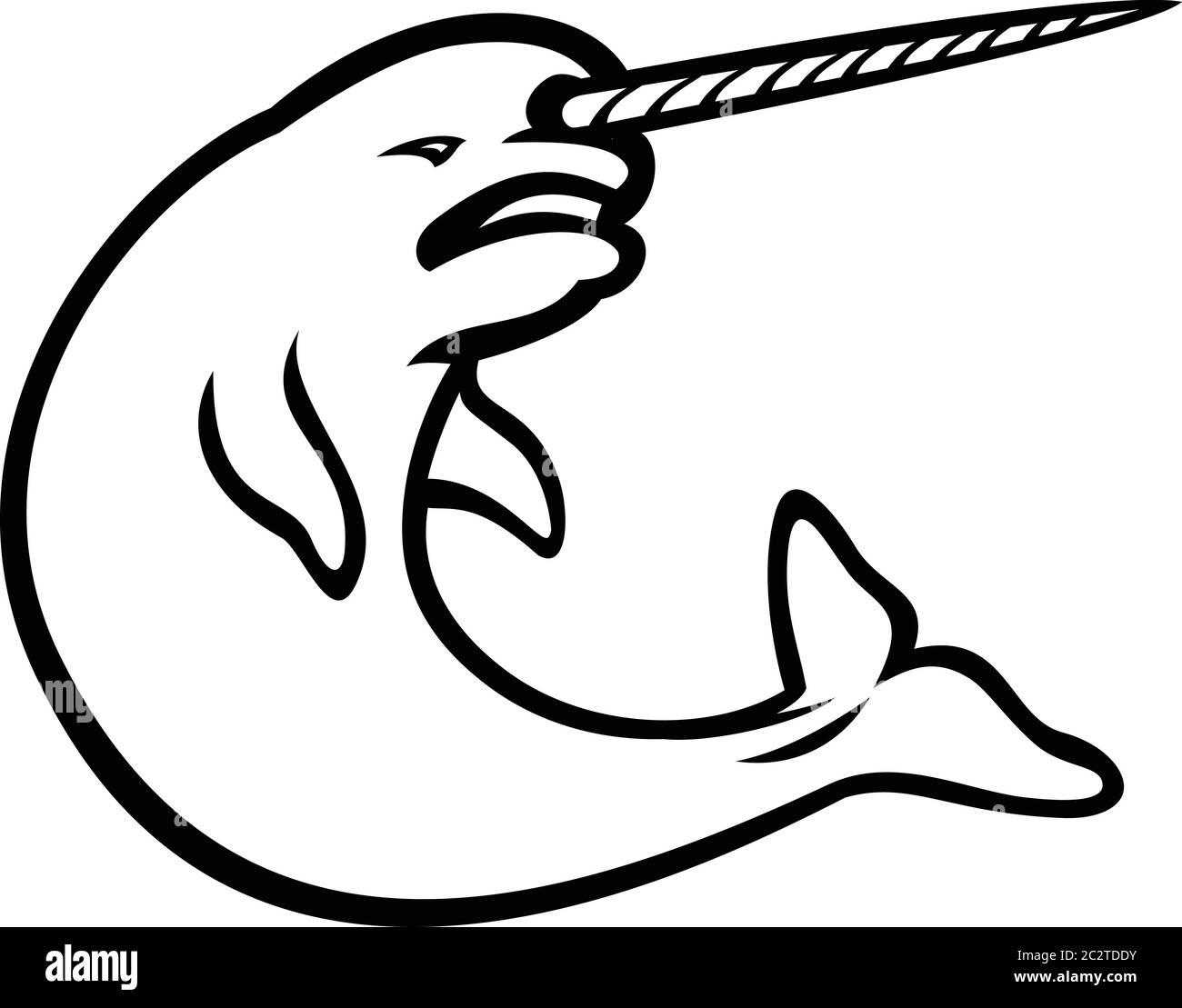 Illustration en noir et blanc d'un narval ou d'un narval en colère, une baleine à dents de taille moyenne qui possède un grand tusk comme une corne d'licorne, qui saute en vue Illustration de Vecteur