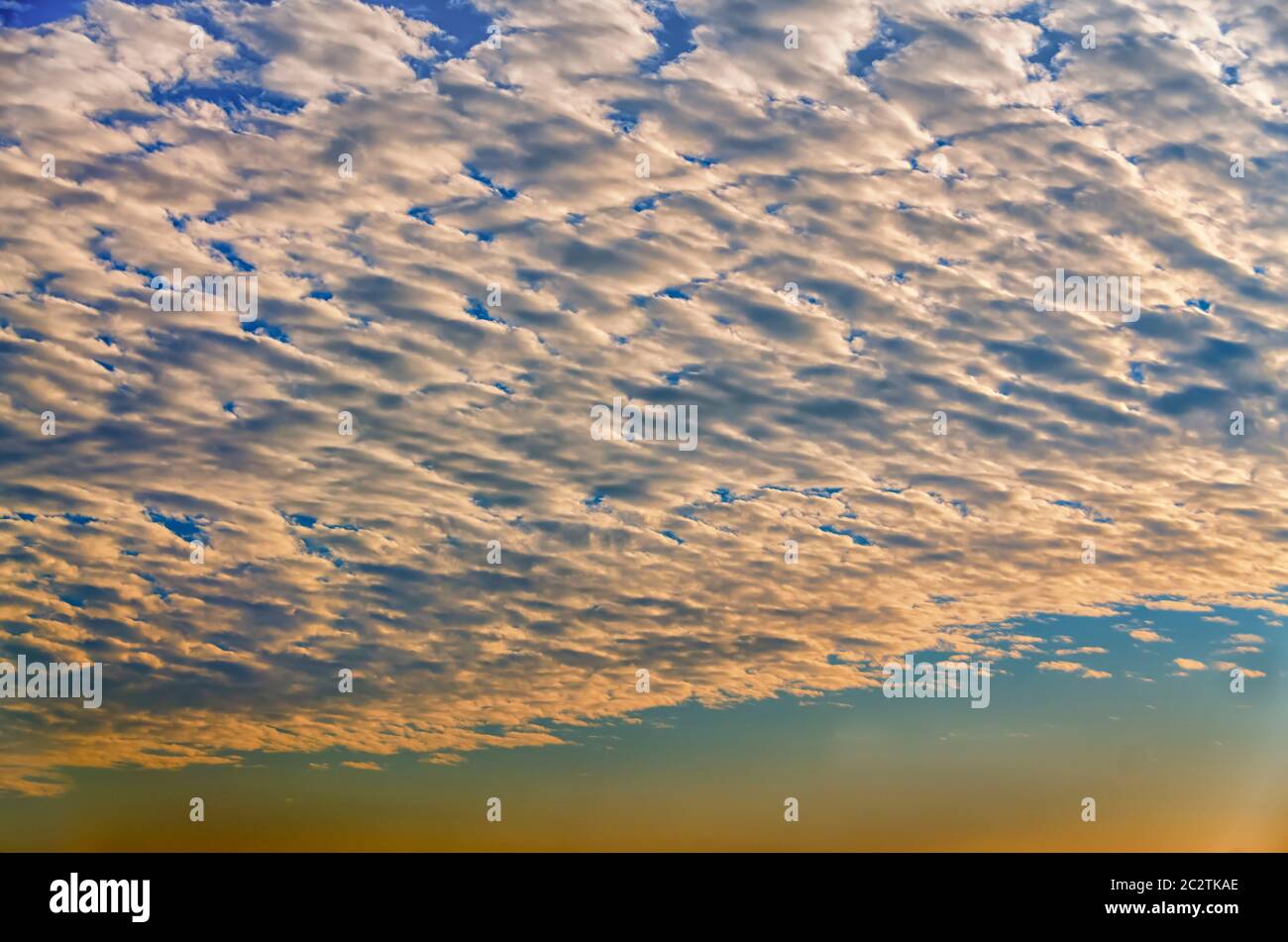 Une fine couche de cumulus dans le ciel, de couleur orange par la lumière du soleil de la fin de la soirée. Banque D'Images