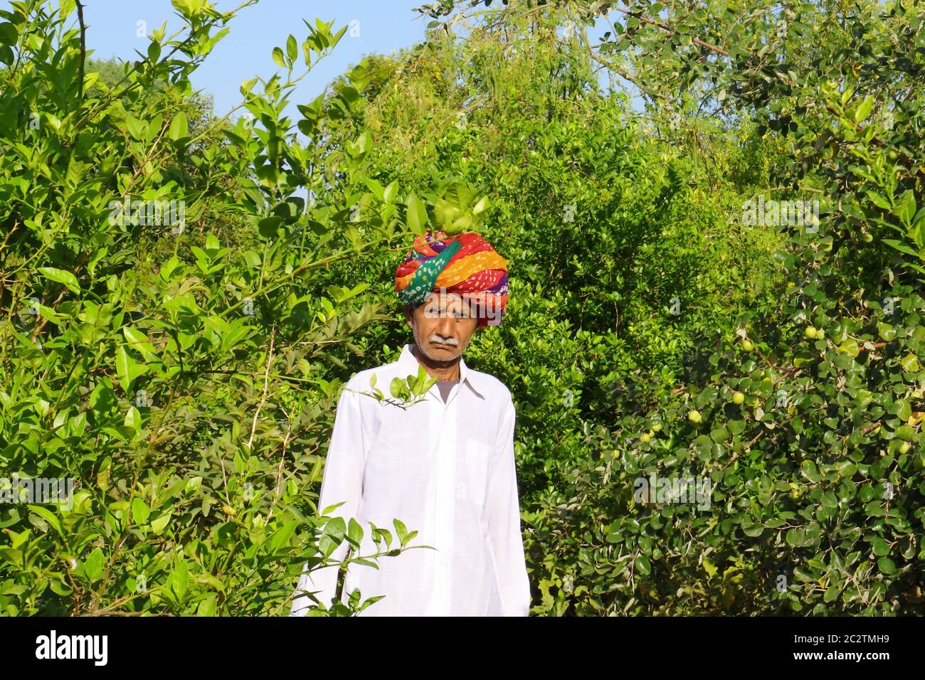 Un fermier attaché de turban se tient dans le jardin vert Banque D'Images