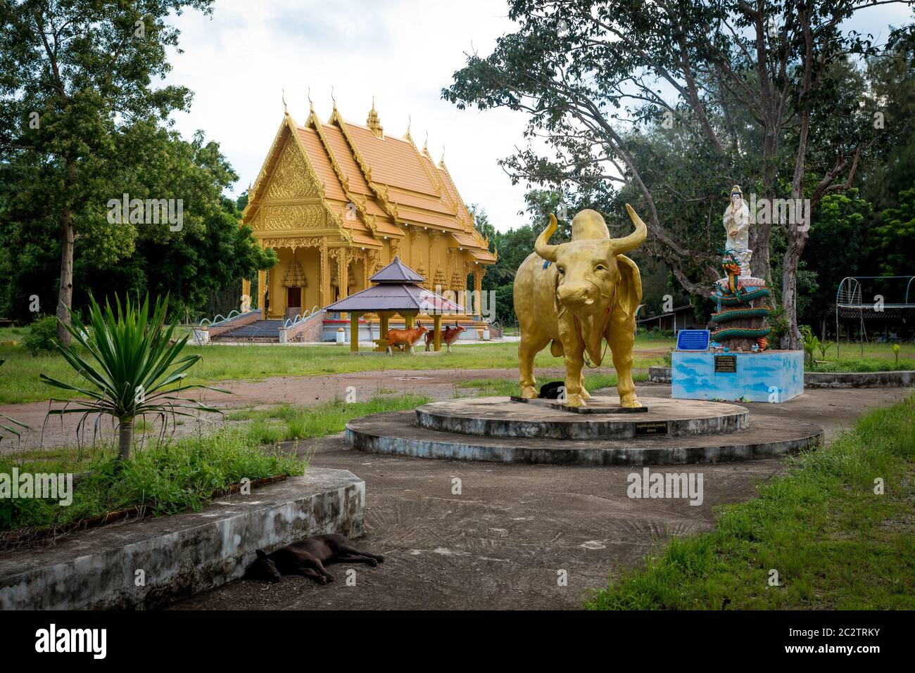 Wat thaïlandais doré avec statue de buffle d'eau dorée devant et ciel bleu en arrière-plan Banque D'Images