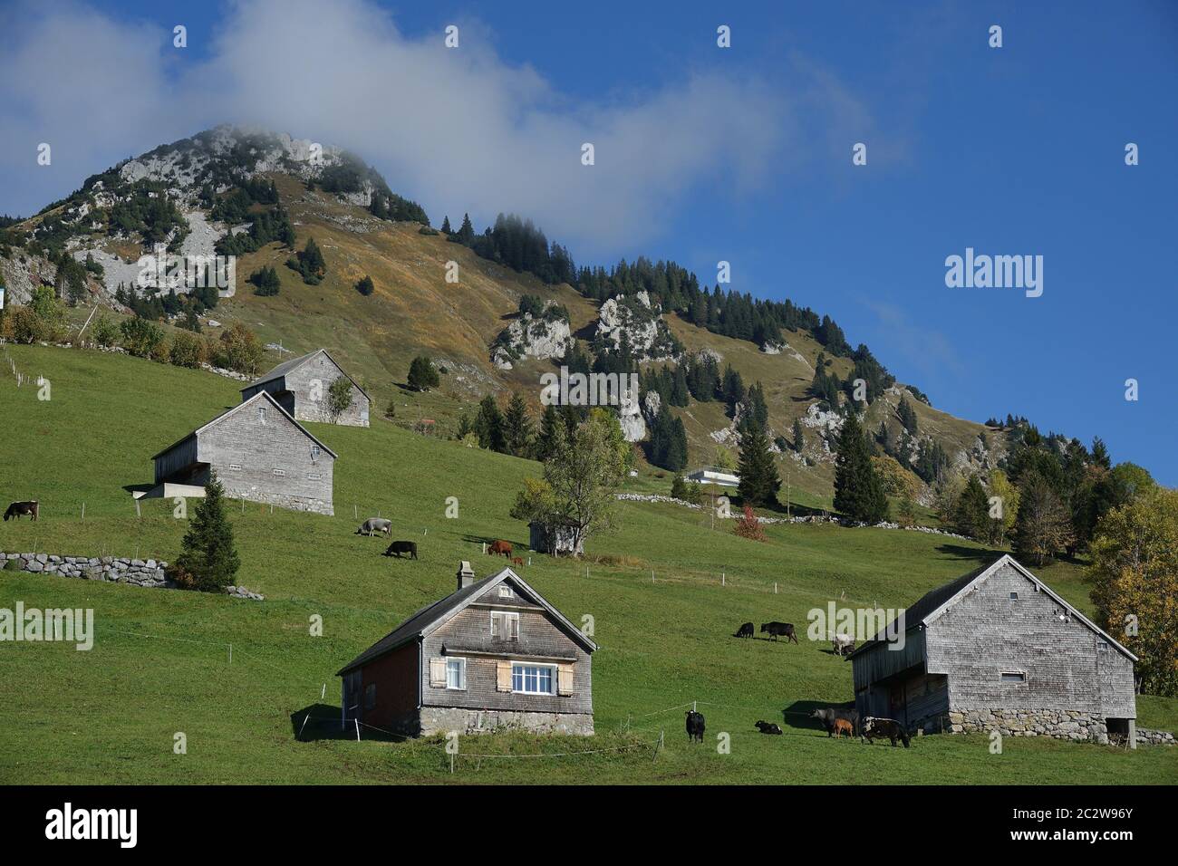 Huttes et maisons sur terrain escarpé en face de la montagne en Suisse. Banque D'Images