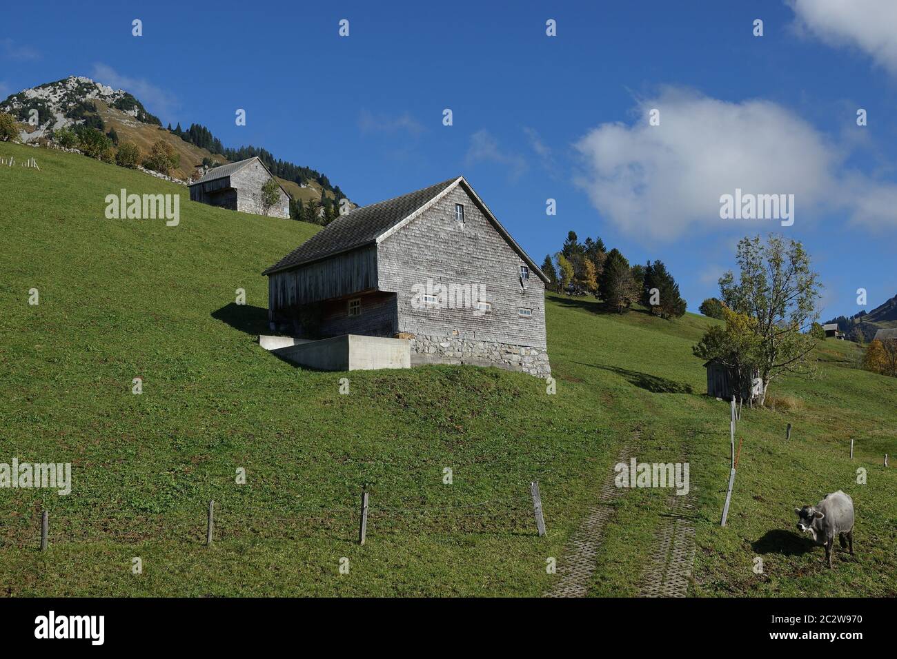 Huttes et maisons sur terrain escarpé en face de la montagne en Suisse. Banque D'Images