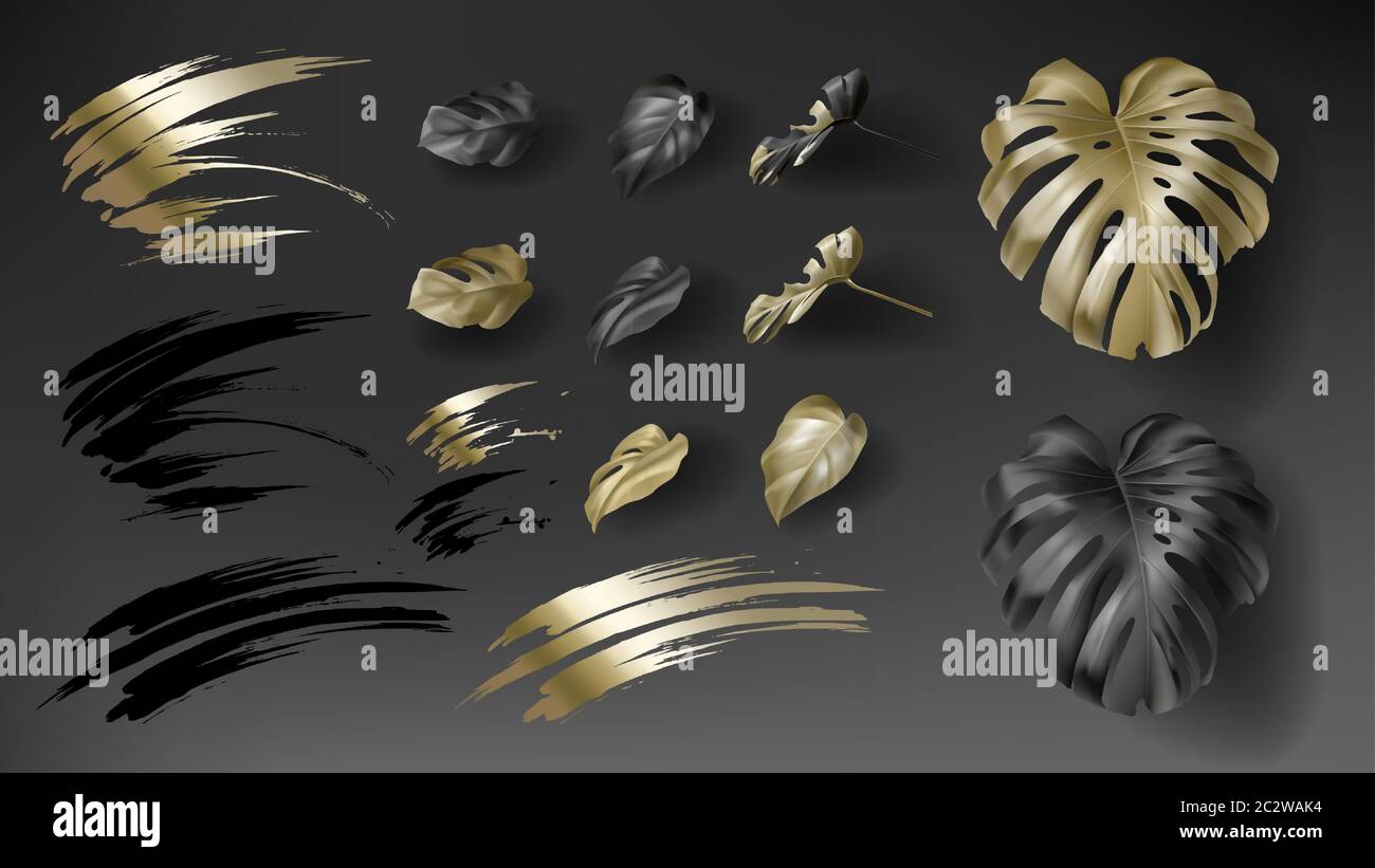 Feuilles de monstère tropicales noires et dorées sur fond sombre ensemble de vecteurs. Bel élément de conception isolé botanique, plante de jungle tropique, philod exotique Illustration de Vecteur