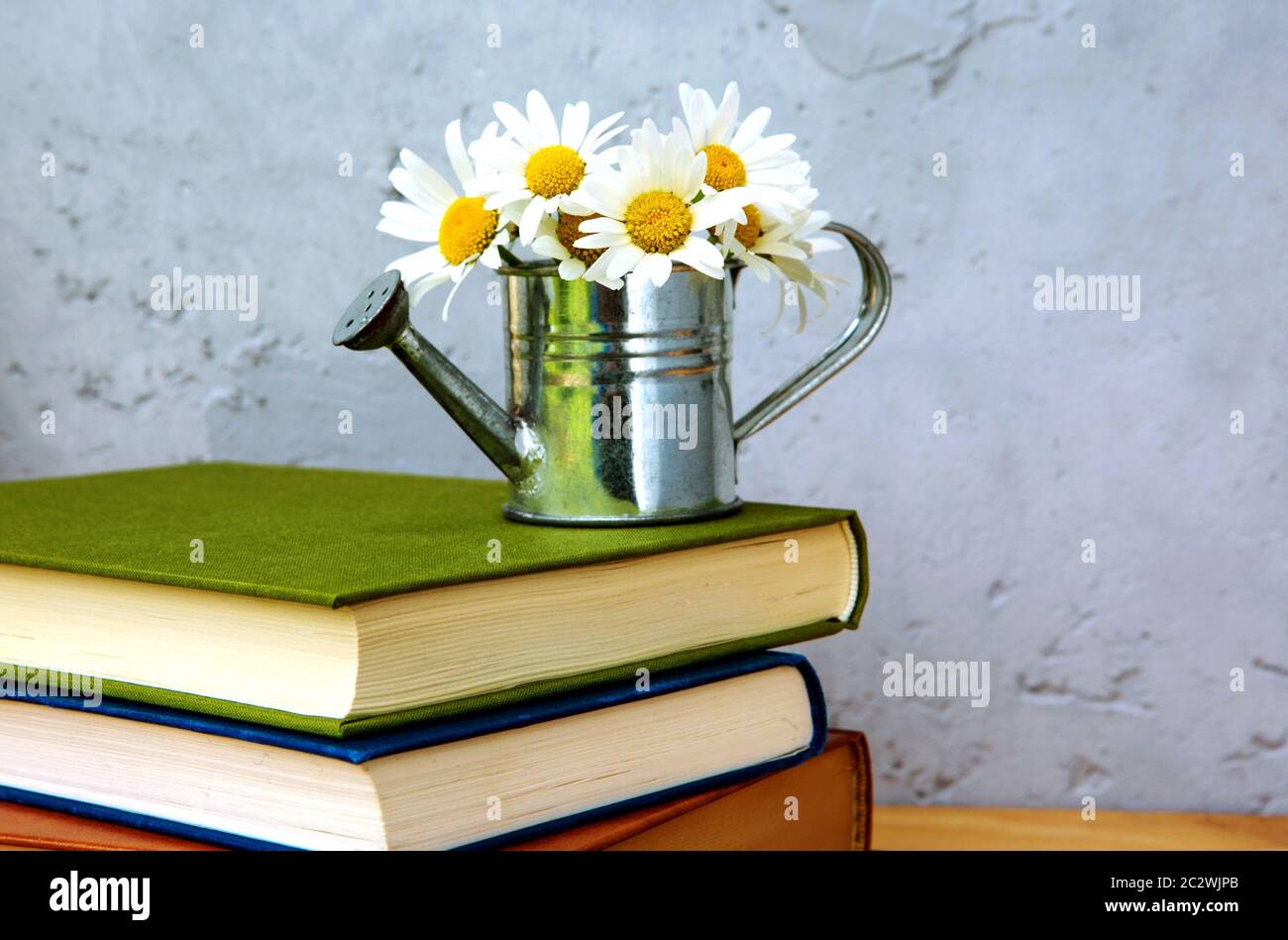 pile de livres et arrosoir miniature avec marguerites sur table en bois et fond gris Banque D'Images