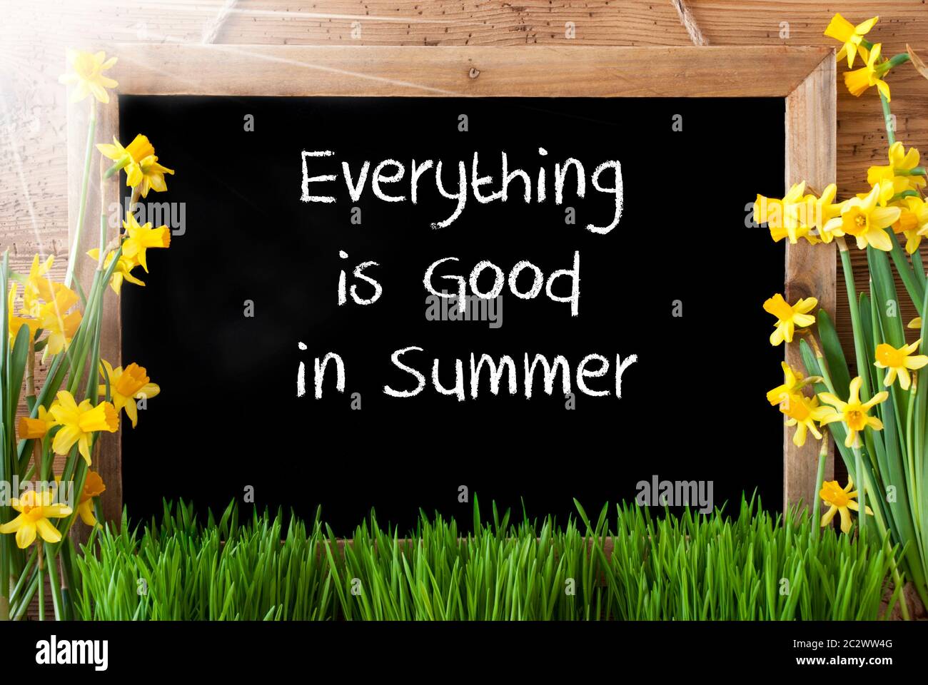 Tableau Noir Avec Citation En Anglais Tout Est Bon En Ete Fleurs De Printemps Ensoleillees Nacissus Ou Daffodil Avec Herbe Fond Rustique En Bois Vieilli Photo Stock Alamy