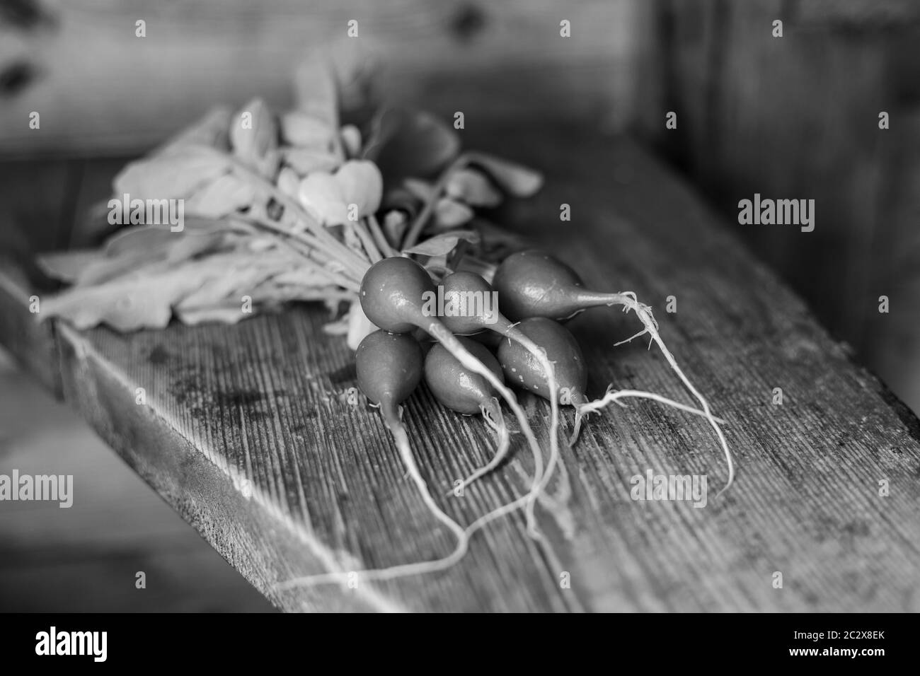Radis rouge sur une table en bois. Légumes rouges avec feuilles vertes. Banque D'Images