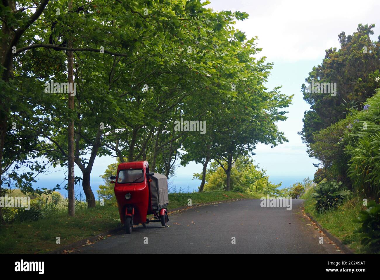 La cargaison rouge dans les arbres verts et la mer bleue Banque D'Images