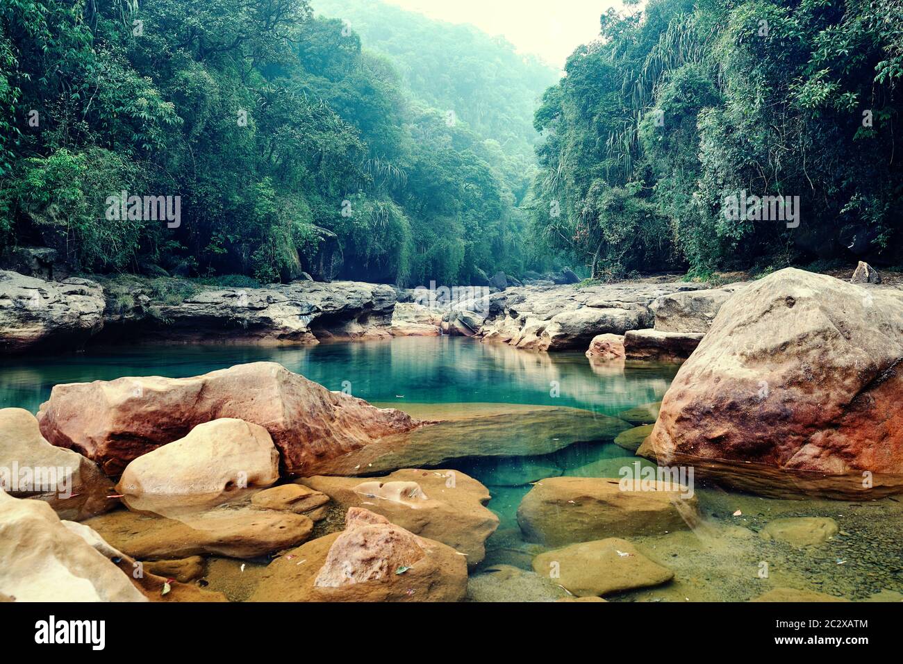 Paysage de la forêt tropicale. Cherrapunji la plus humide place sur terre placée dans le nord-est de l'Inde Banque D'Images