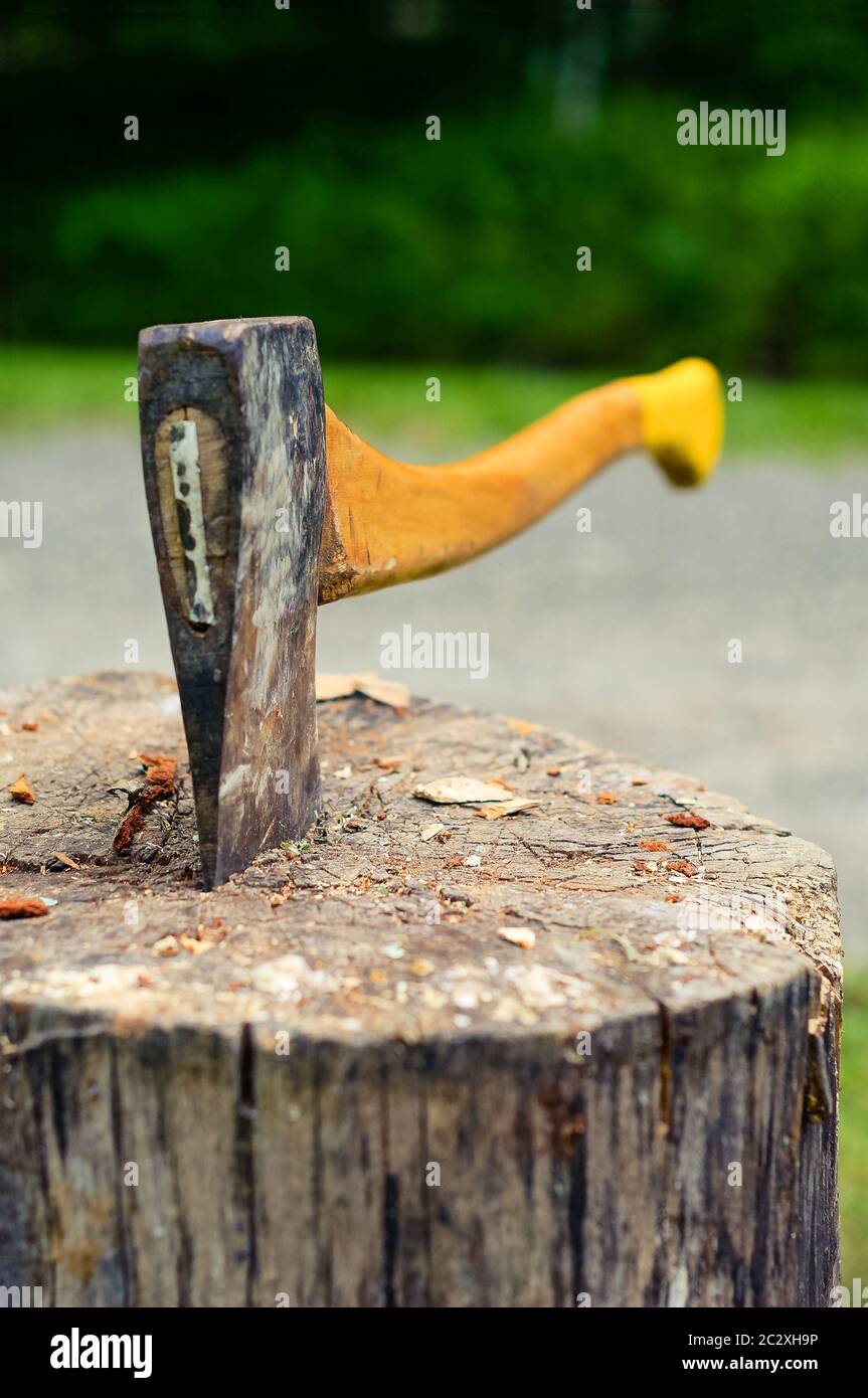 Attention sélective sur la lame à hache coincée dans le vieux bois d'arbre, avec la forêt en arrière-plan. Cette hache est couramment utilisée dans la fabrication et la coupe de bois de chauffage. Banque D'Images