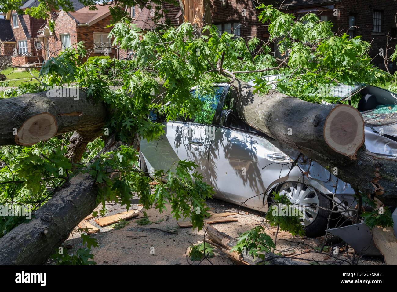 Detroit, Michigan - UNE voiture écrasée par les restes de la tempête tropicale Cristobal. La tempête a fait tomber de gros arbres et a provoqué de nombreuses pannes de courant Banque D'Images