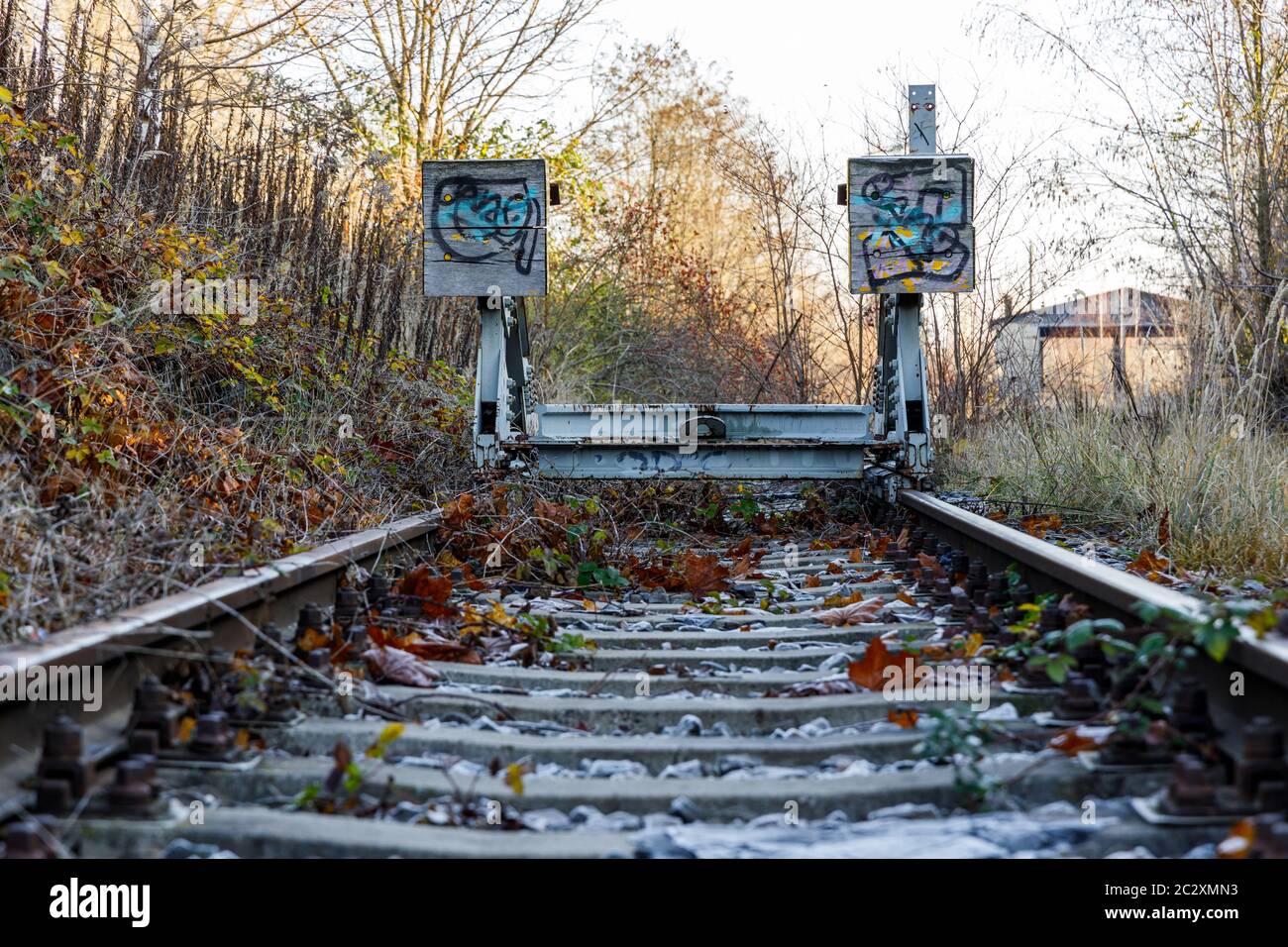 Voies ferrées surcultivées systèmes de voies Banque D'Images