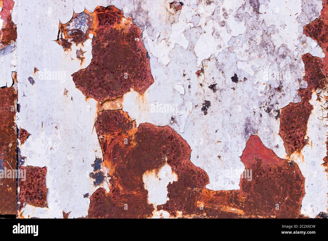 Peinture écaillée et métal rouillé ; forme abstraite du chien rouge Banque D'Images