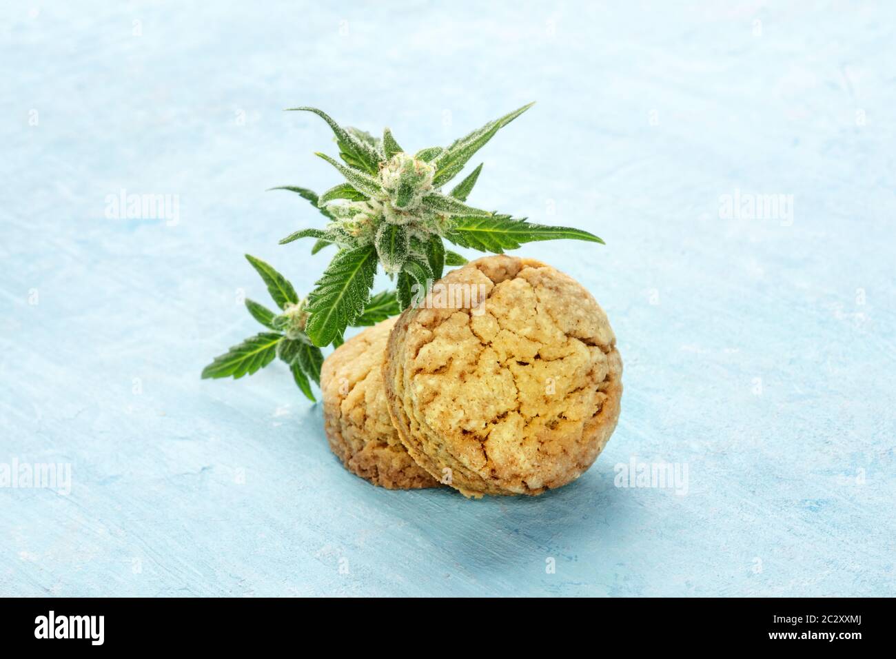 Cookies beurre de cannabis marijuana avec bourgeons, des biscuits sains sur un fond bleu avec copie espace Banque D'Images