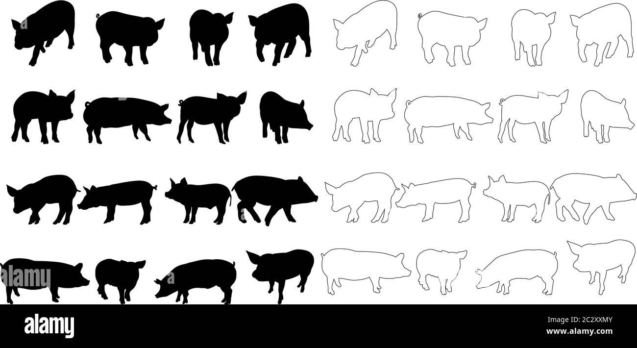 vecteur, silhouette d'un ensemble de cochons Illustration de Vecteur