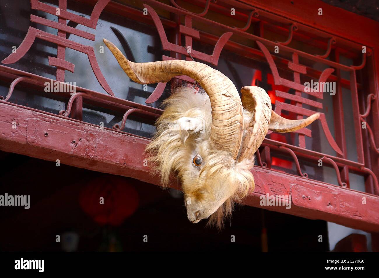 Image d'une tête de bélier farcie suspendue au-dessus d'une porte, dans la ville antique de Zhou Cun, province de Shandong, Chine. Orientation horizontale. Banque D'Images