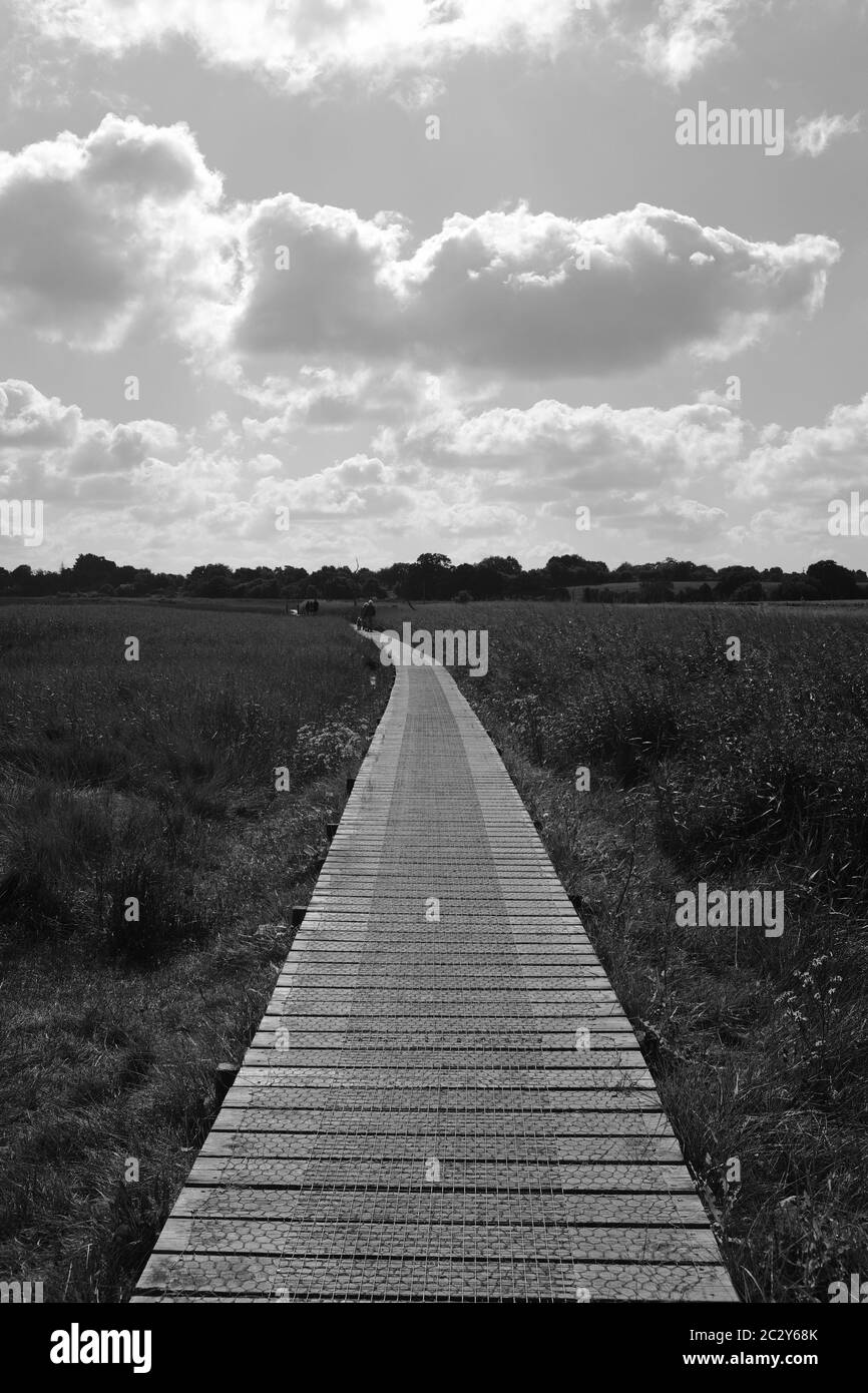 Longue promenade à Snape Suffolk Royaume-Uni en noir et blanc Banque D'Images