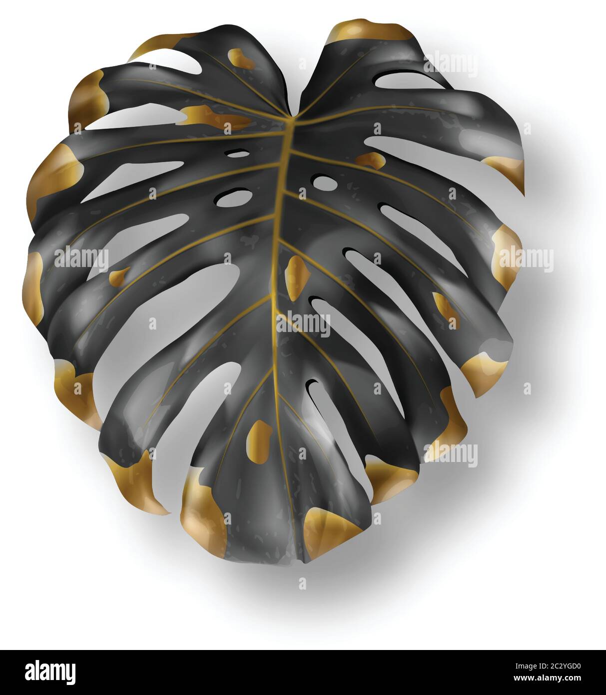 Feuille de monstre tropicale noire et dore sur fond blanc. Bel lment de  conception isol botanique, palmier de jungle tropique, philod exotique  Image Vectorielle Stock - Alamy