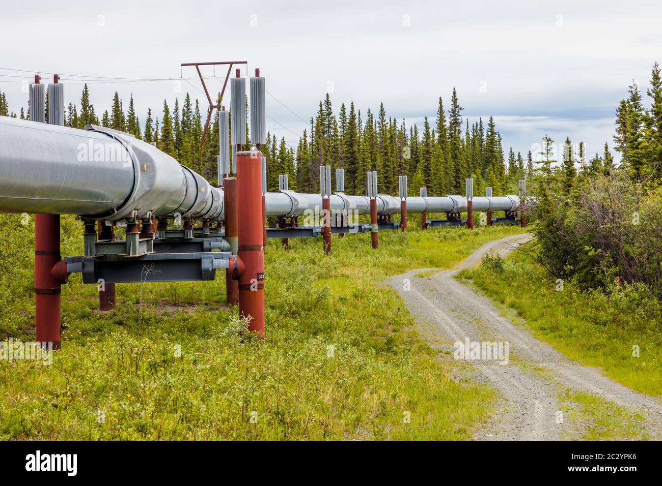 Alyeska Pipeline traversant le paysage, Glennallen, Alaska, États-Unis Banque D'Images