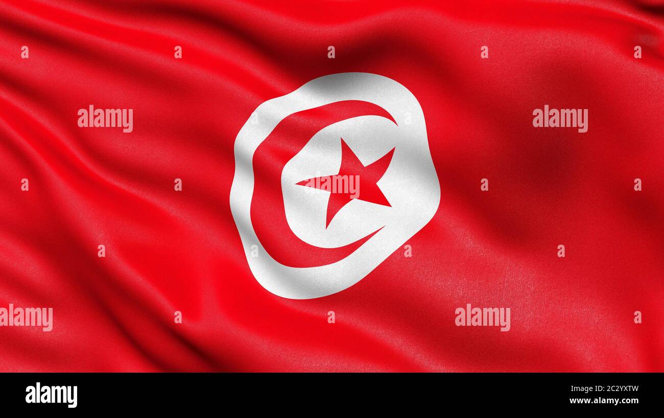 Drapeau de la Tunisie, illustration 3-D. Banque D'Images